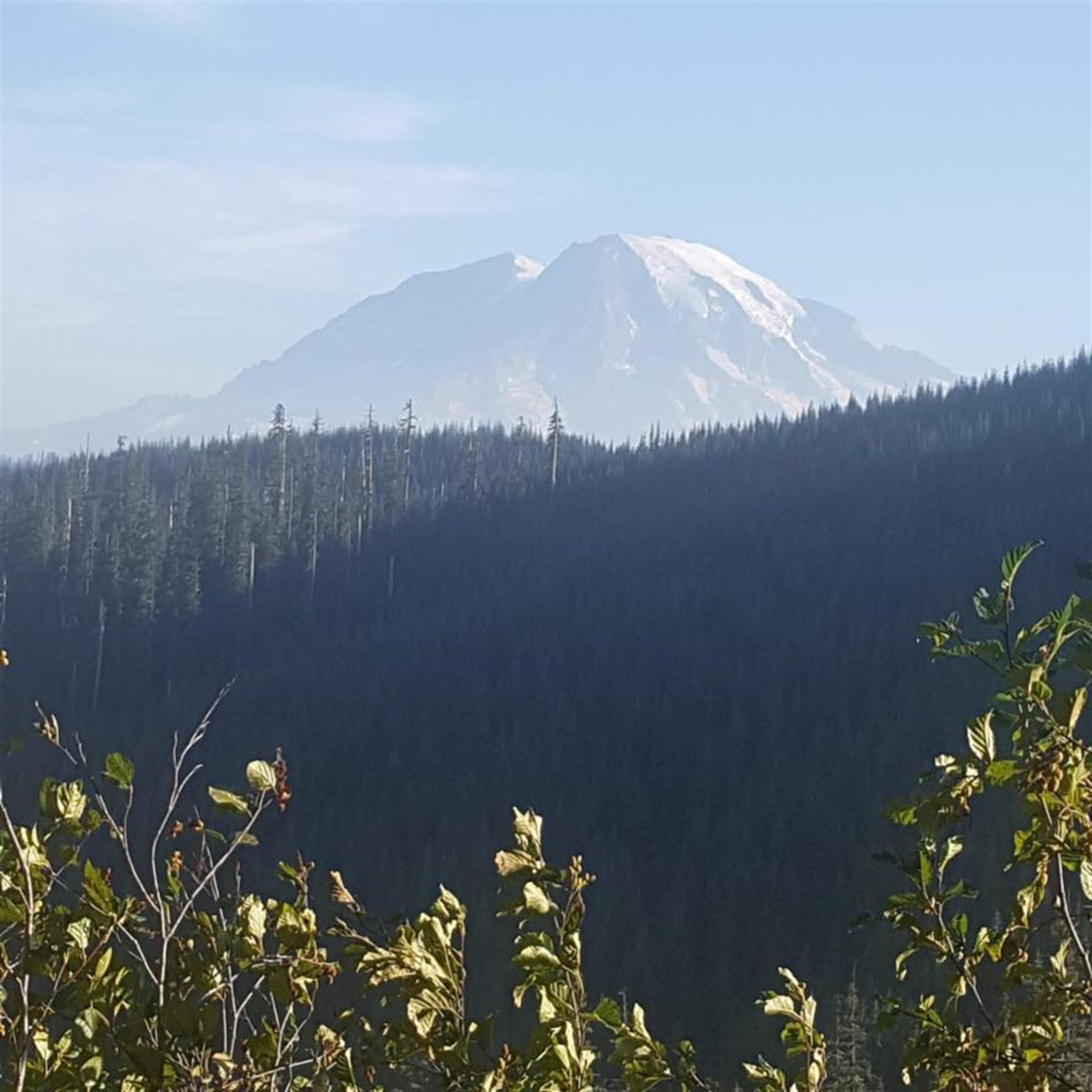 Fred Bouslaugh's obituary picture