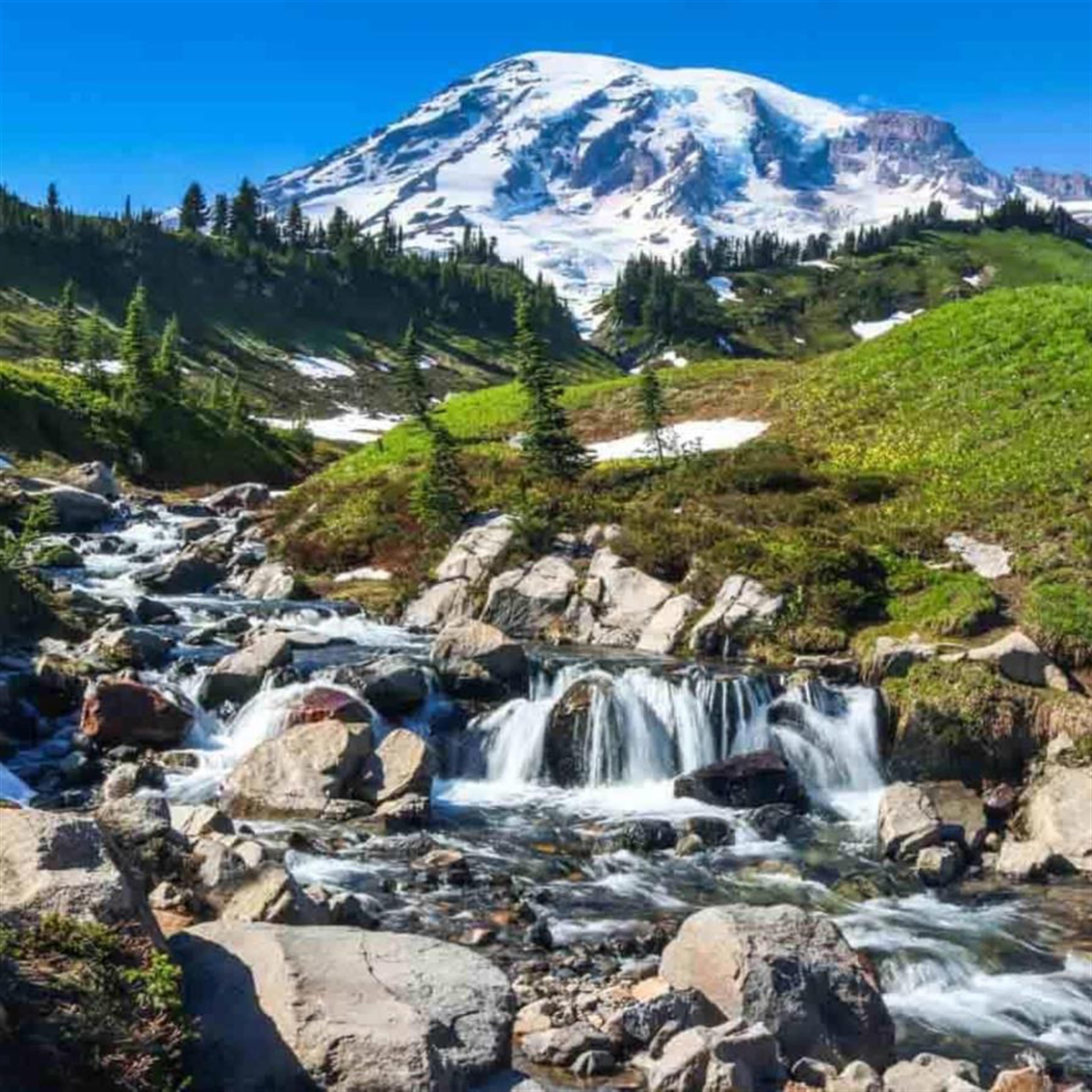 Robert Daniel Williams' obituary picture