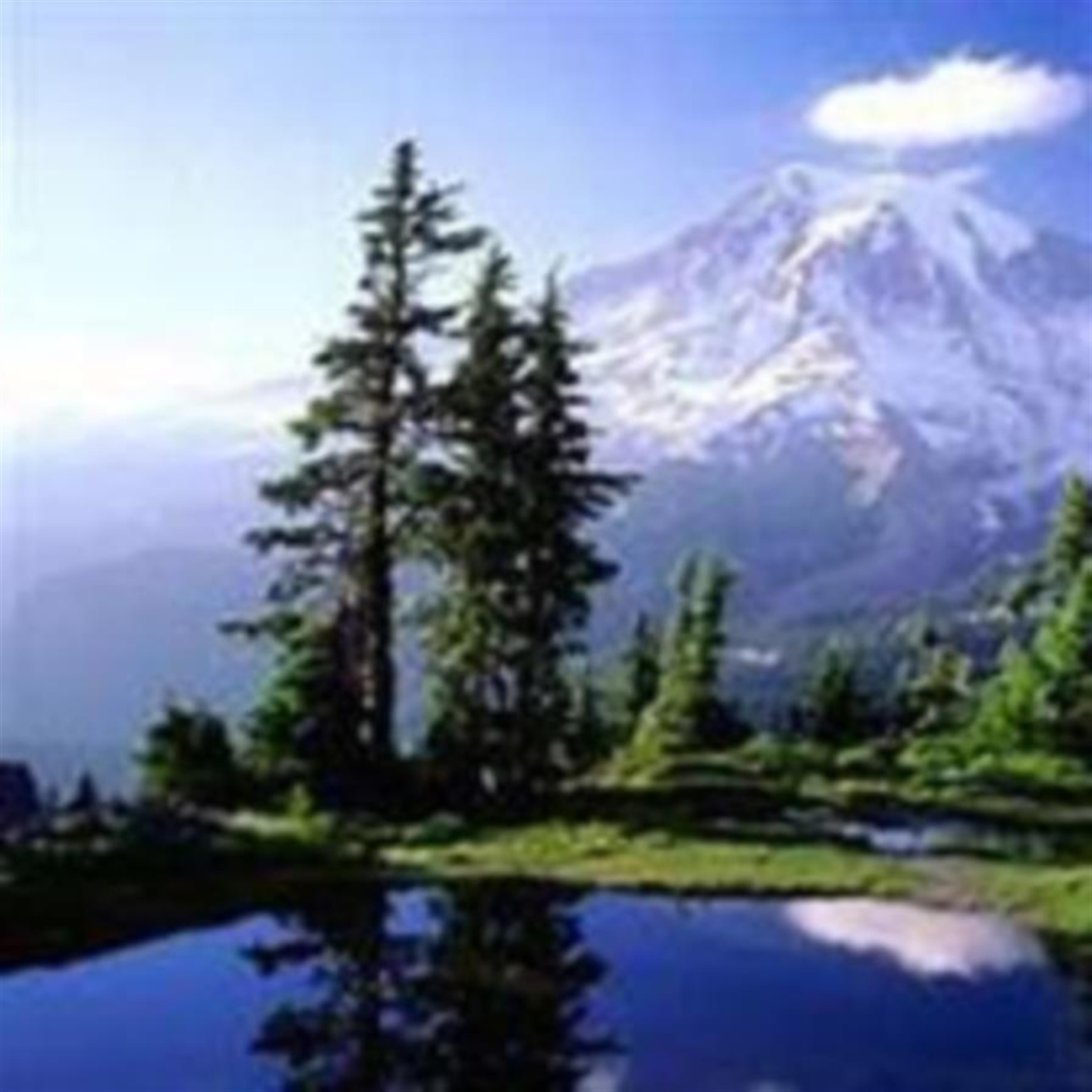 Lorraine Maxine Anderson