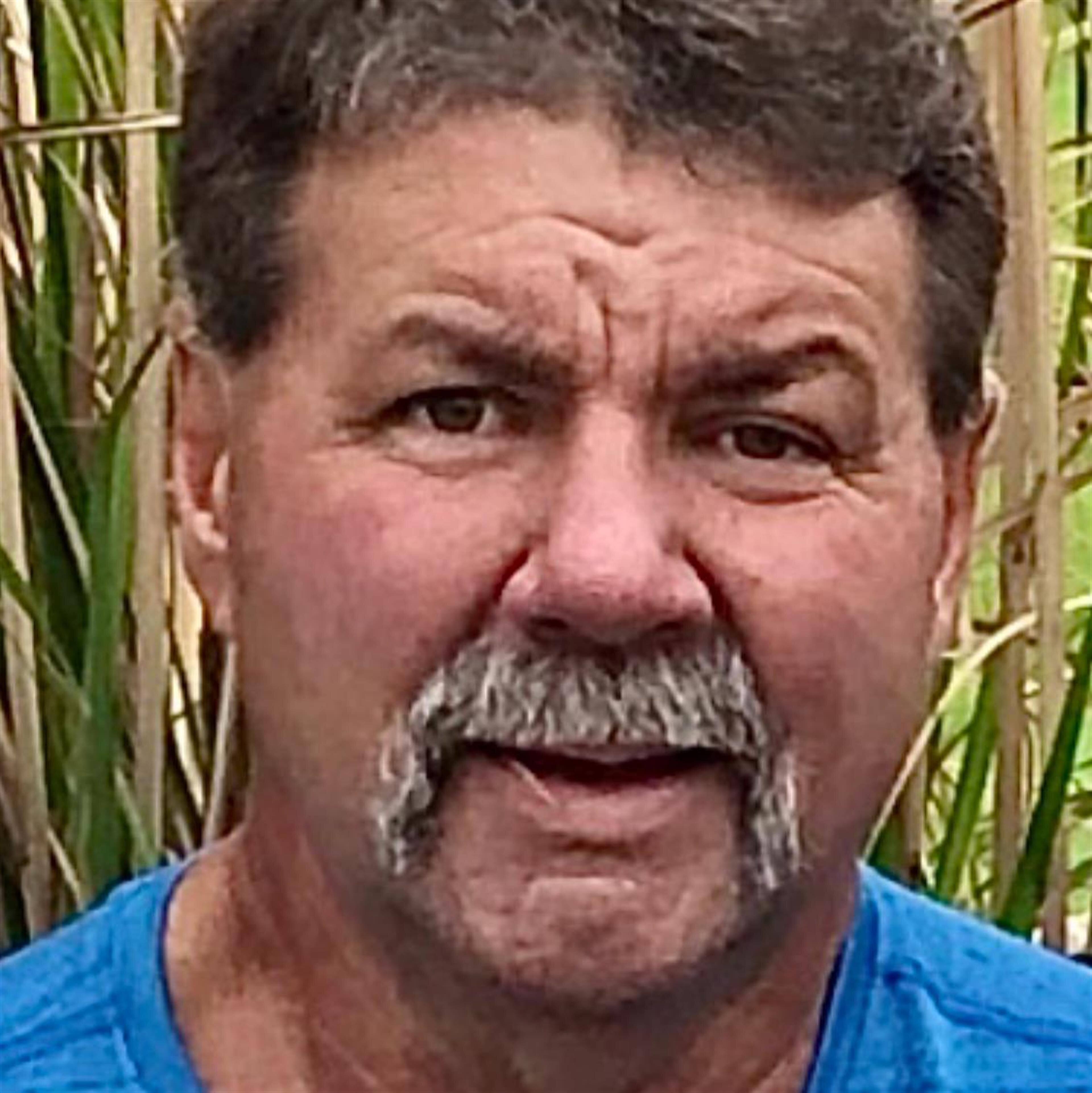 David Lester Wilkins