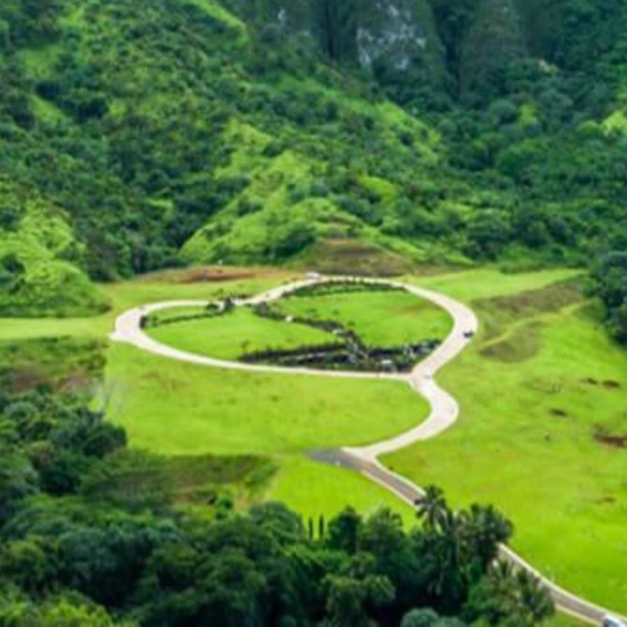 Tribute Wall