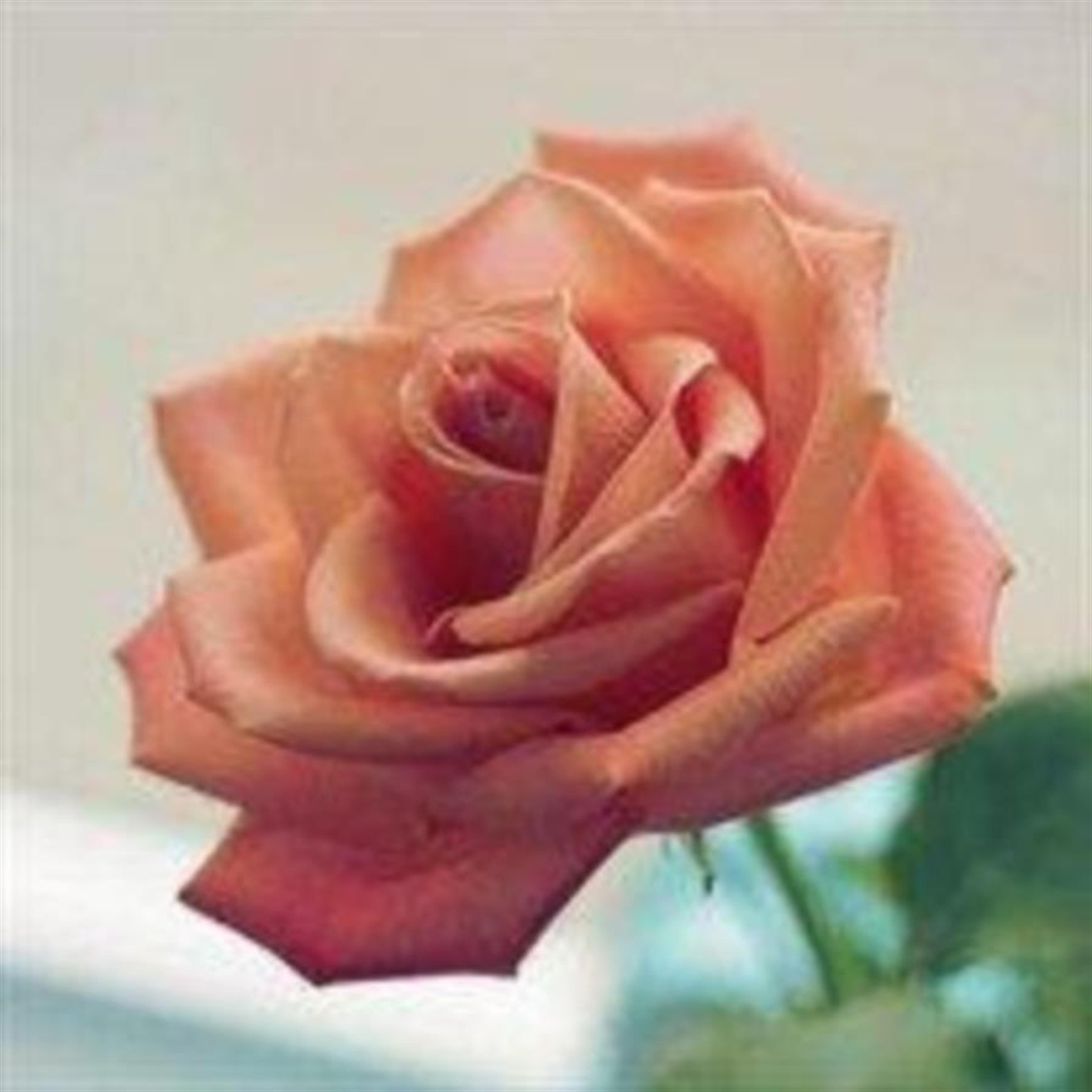 Ruthellen Heitman (Humansville)