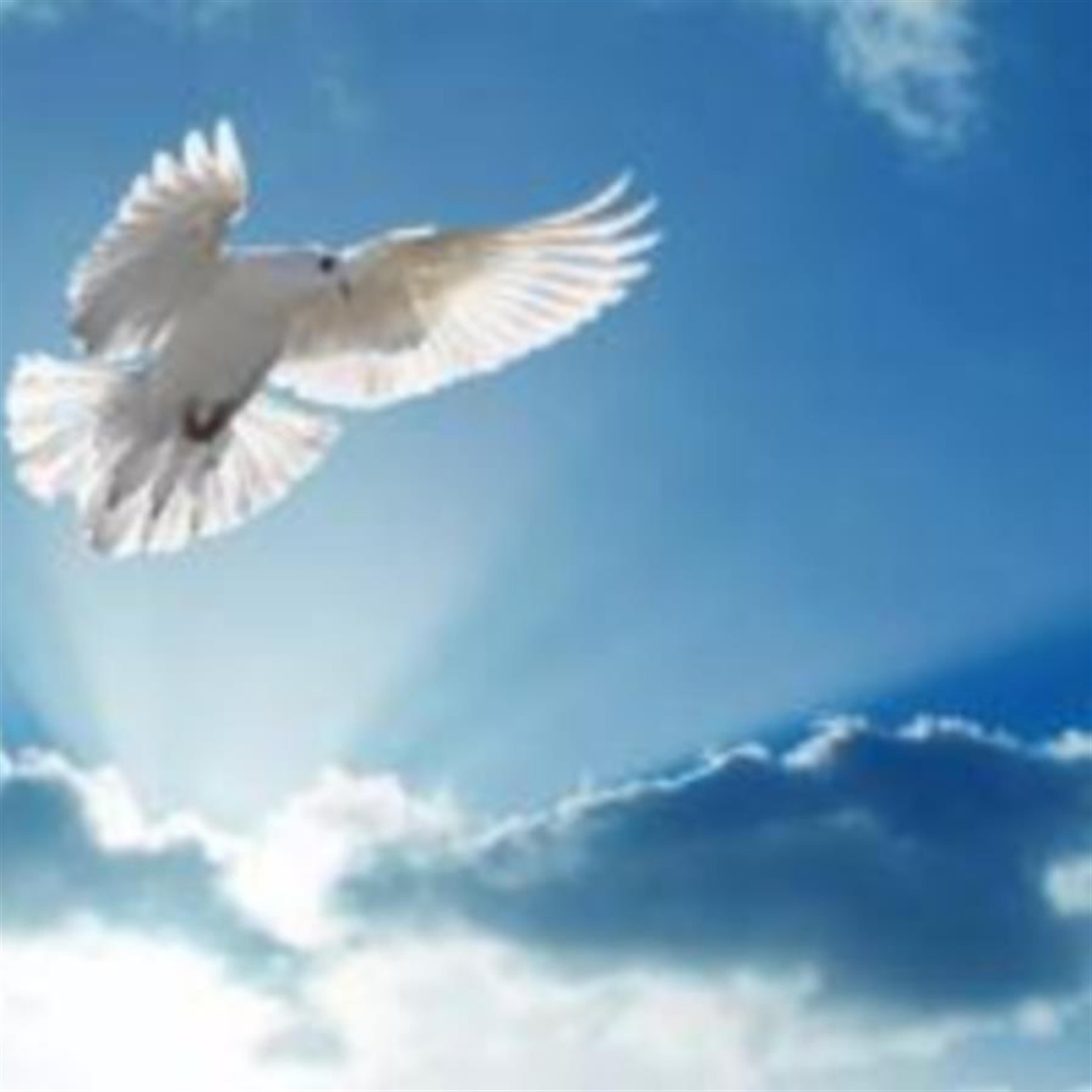 Anna M. Marshall's obituary picture