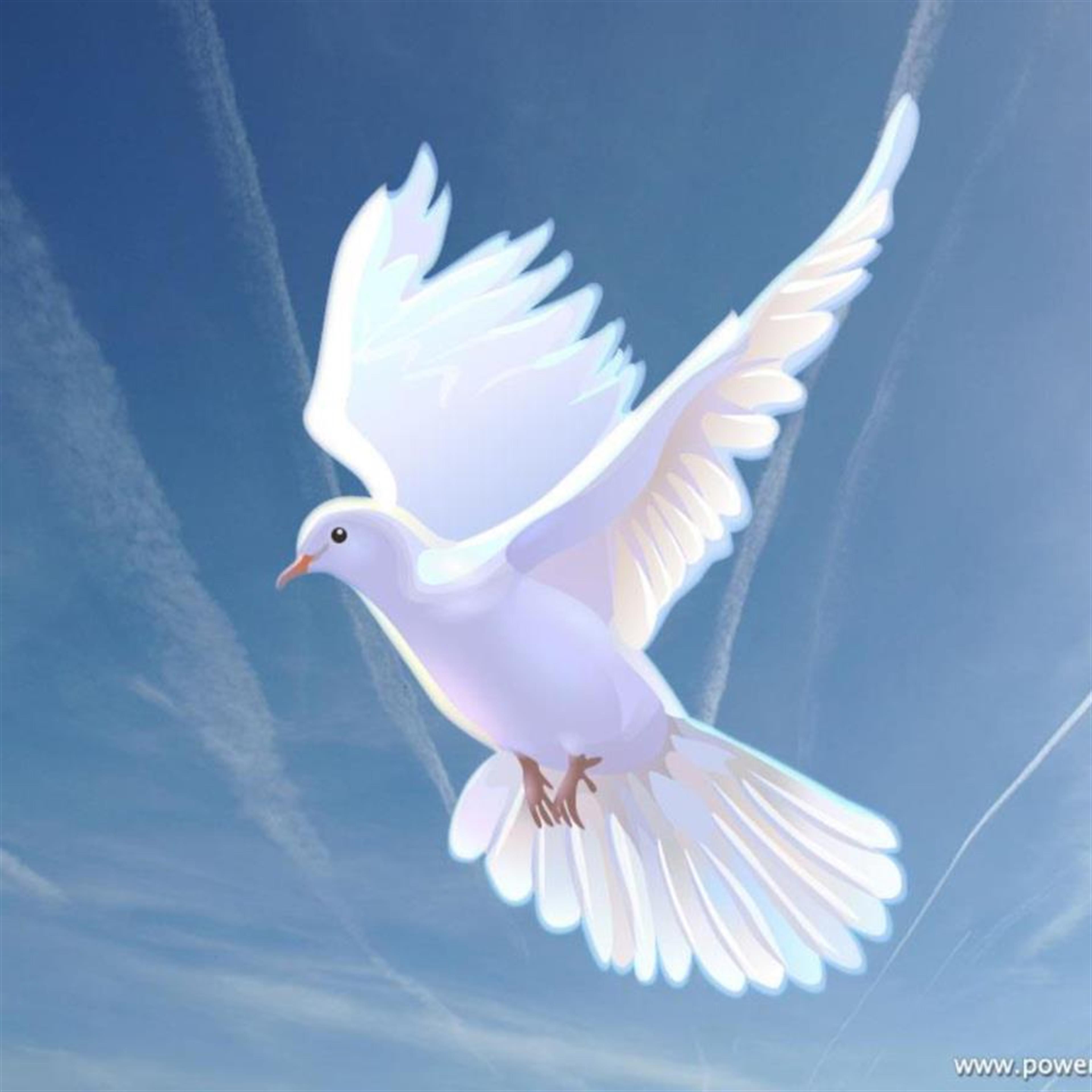 Jo Anne Perryman's obituary picture