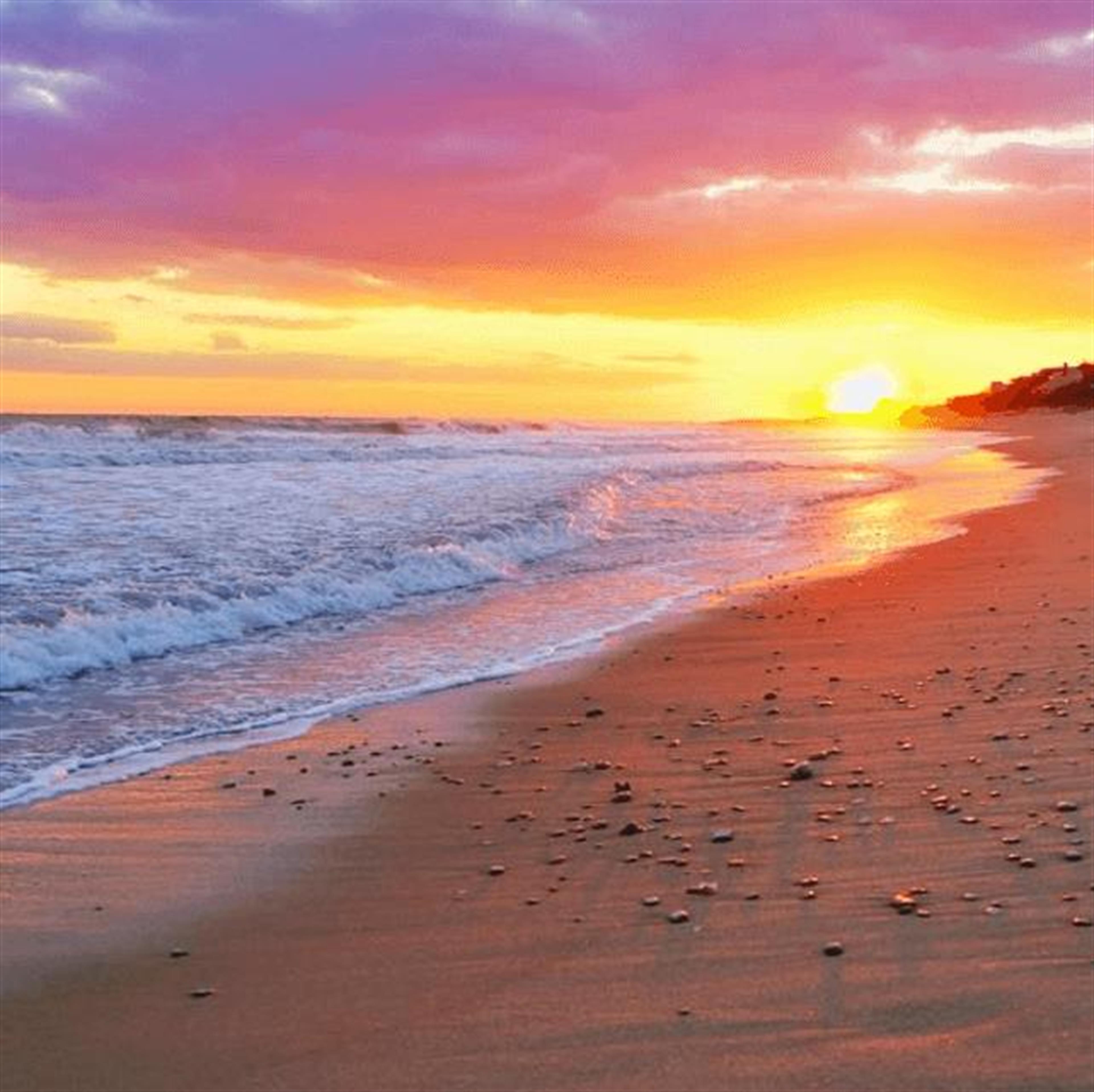 William Franklin Vargish's obituary picture