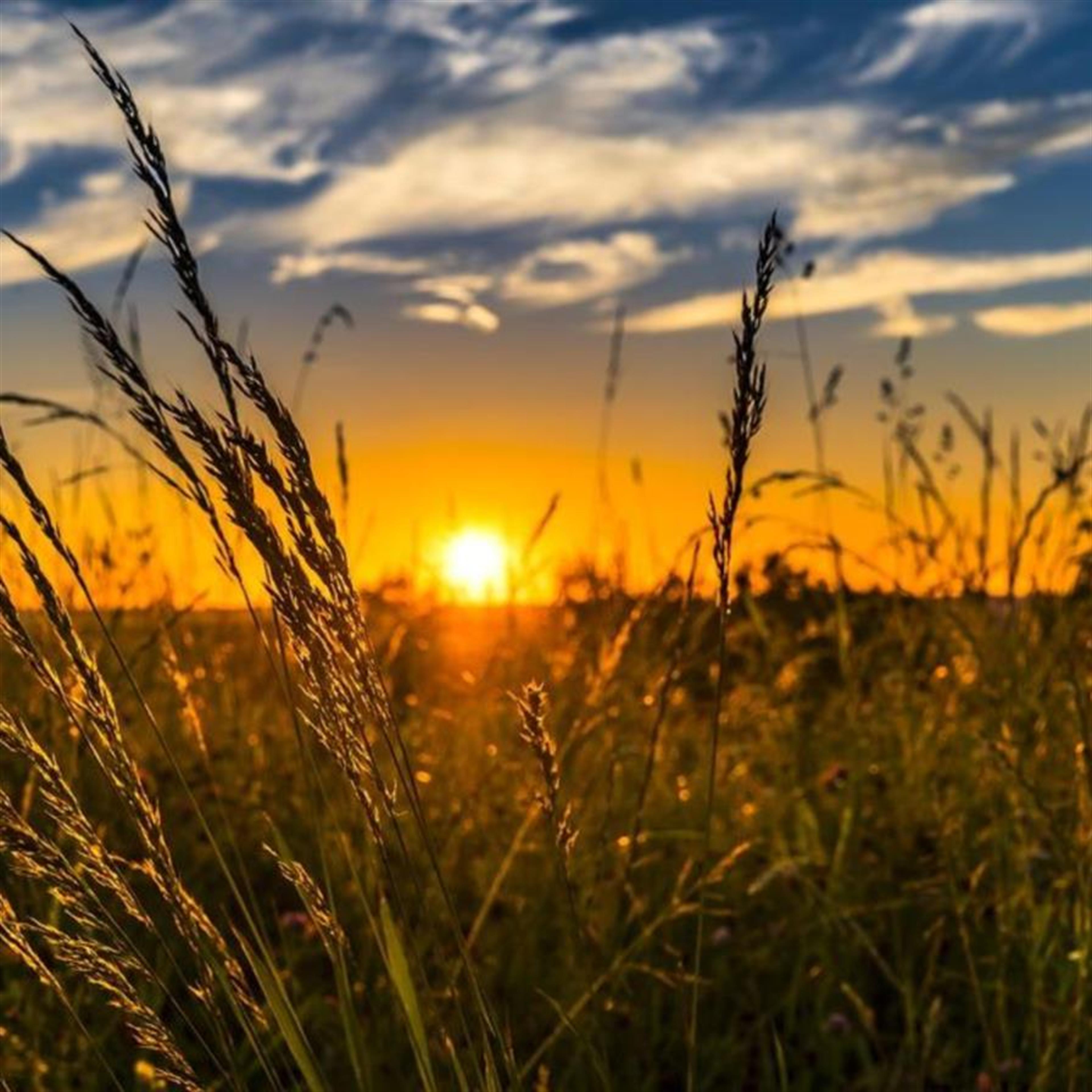 Mr. James Ethel Howard