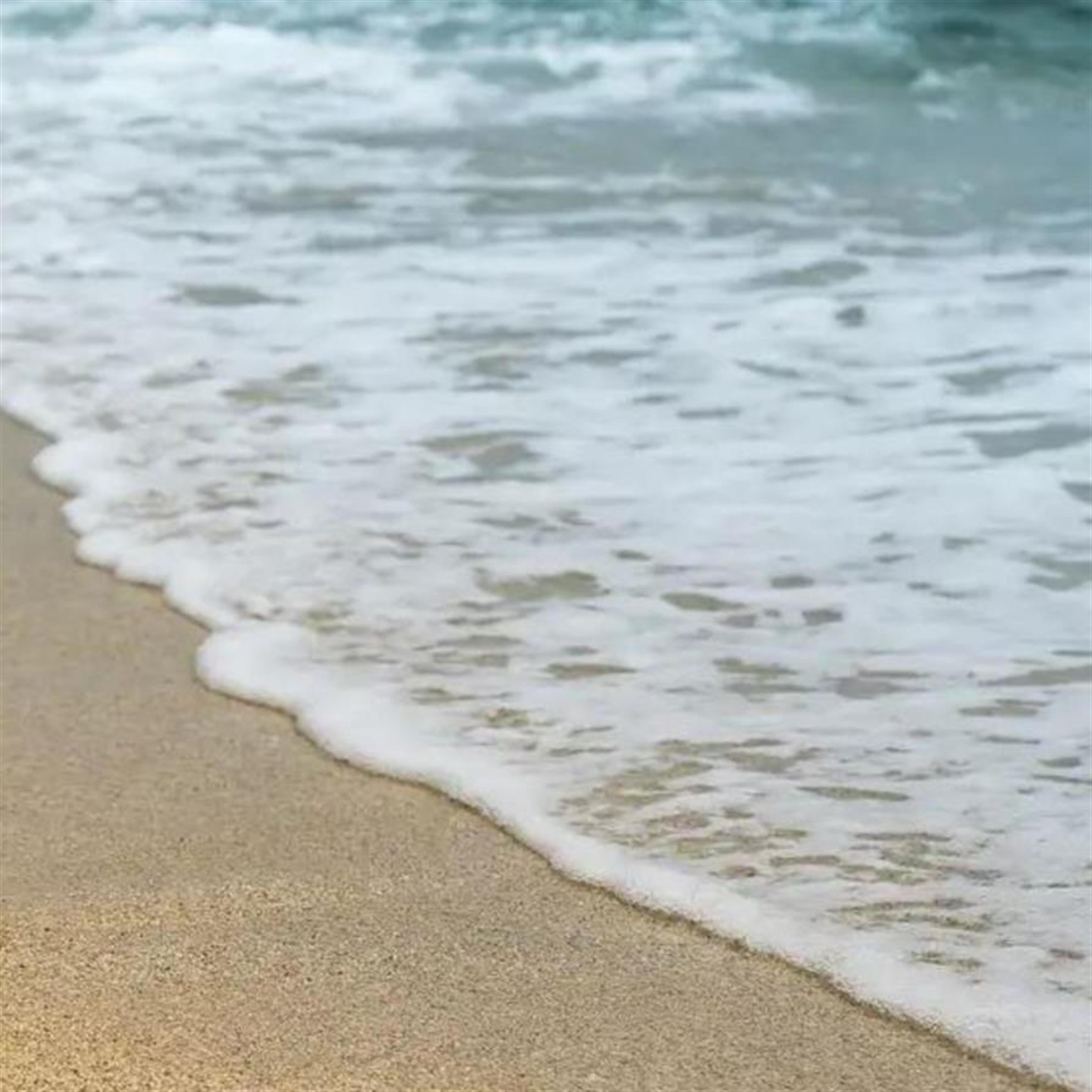 Alma Balistreri's obituary picture