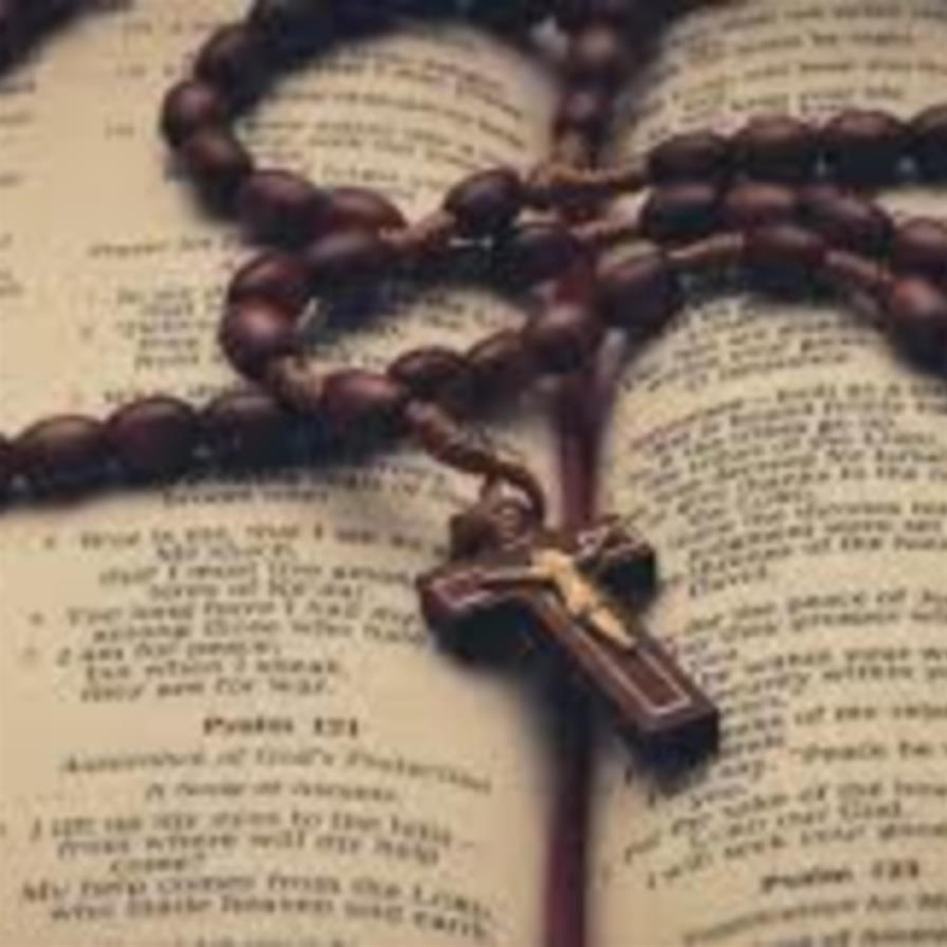 Vita Mary Dipolito's obituary picture