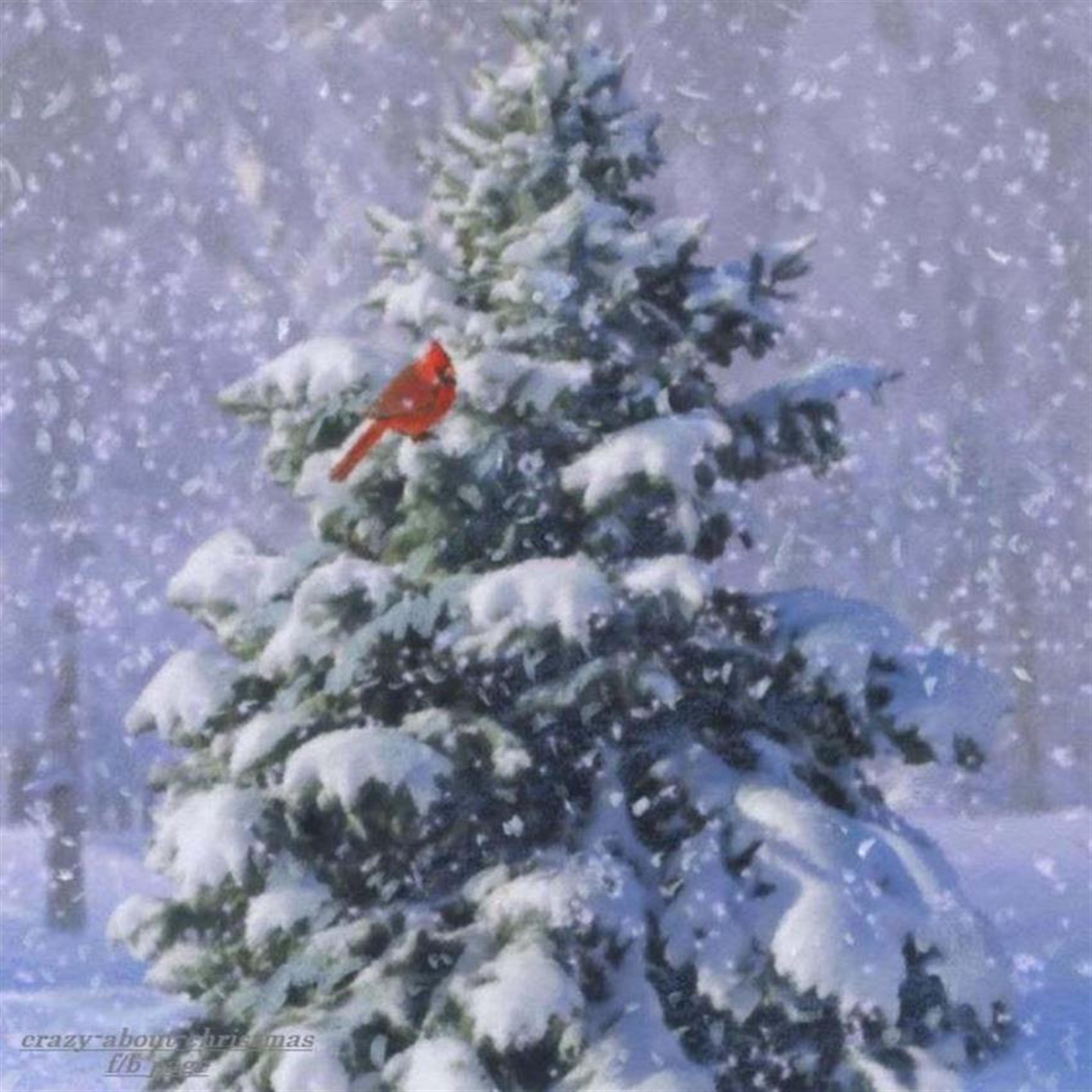 Jean B. Snow (Hartville)