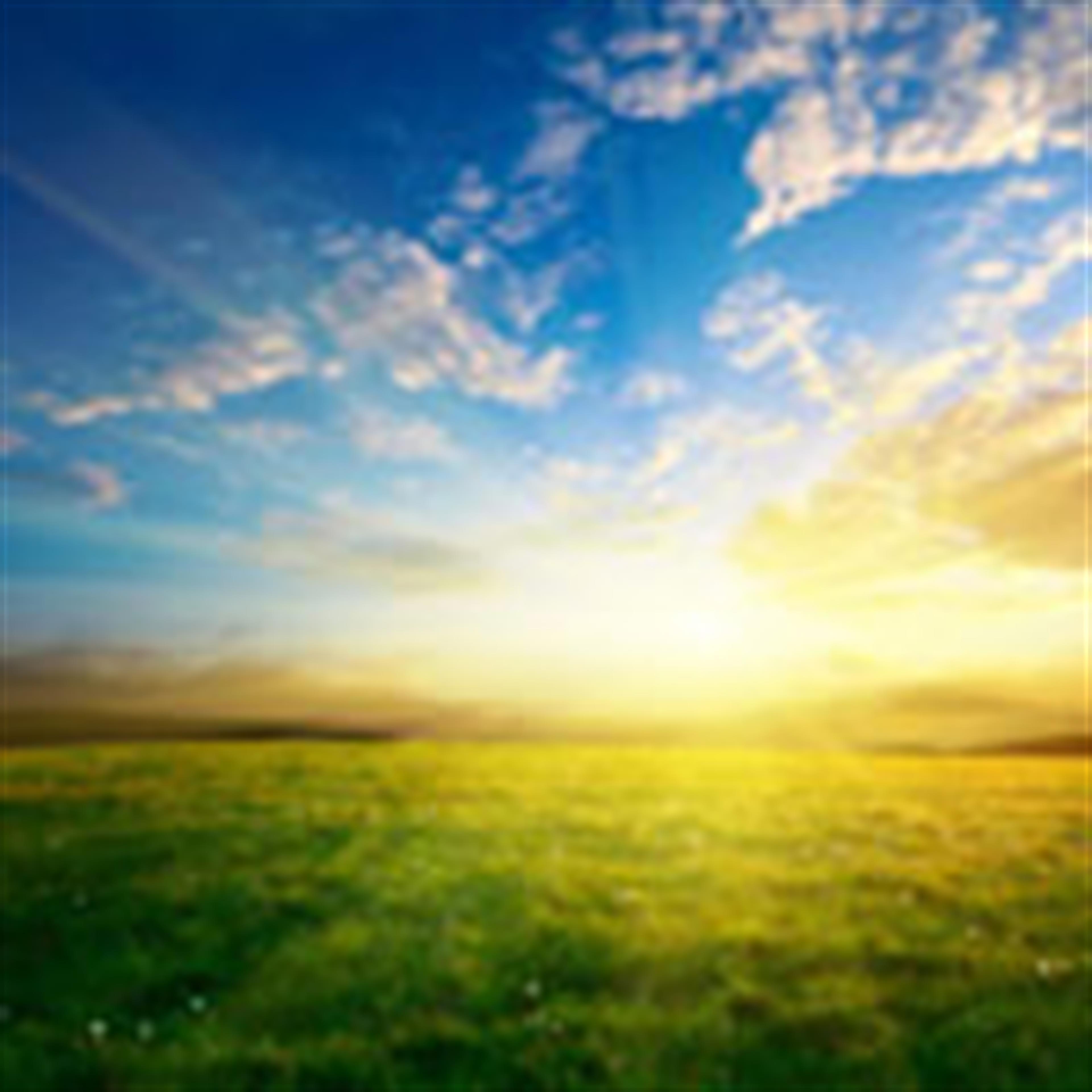 Julian Wayne Mitchell's obituary picture