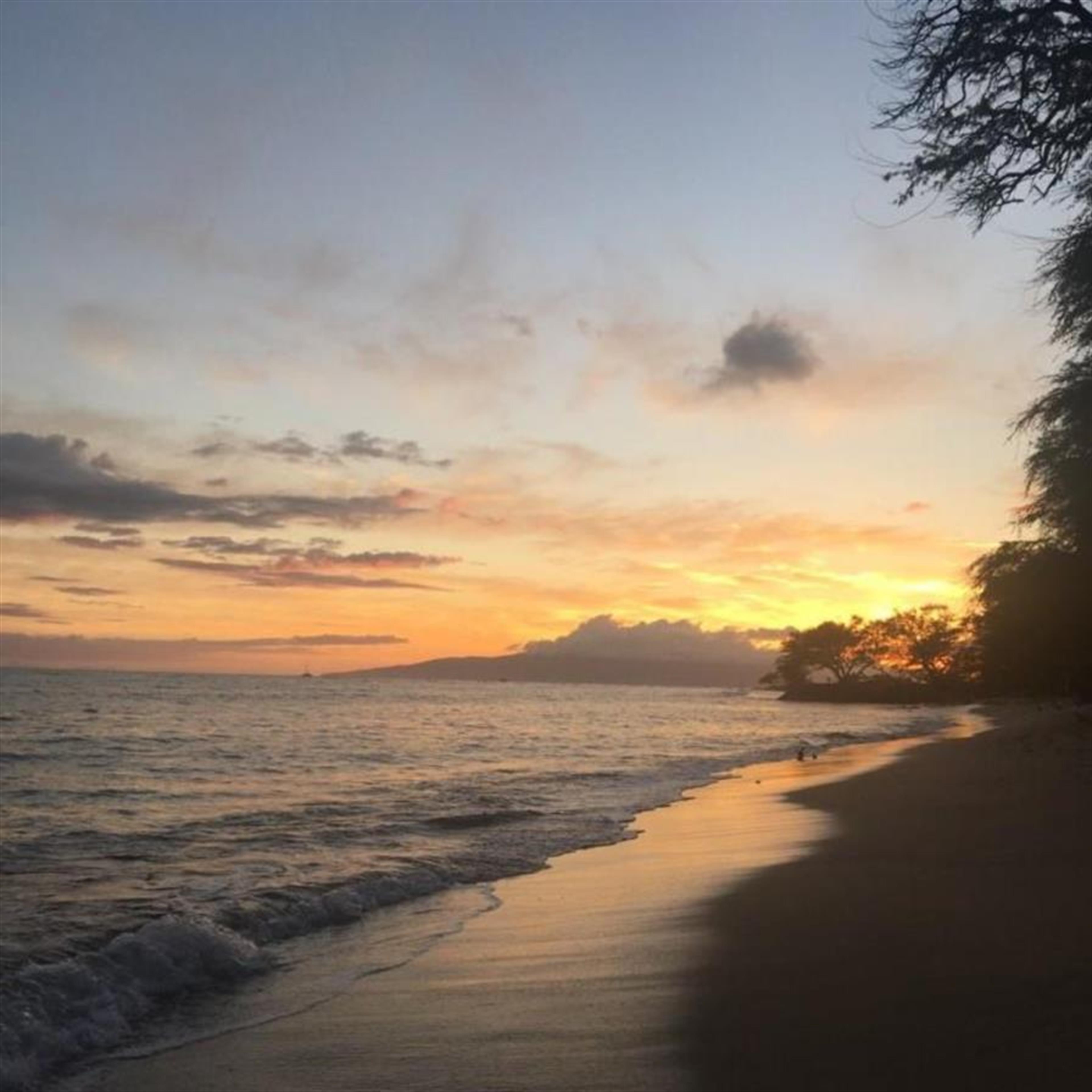 Robert Kenney's obituary picture