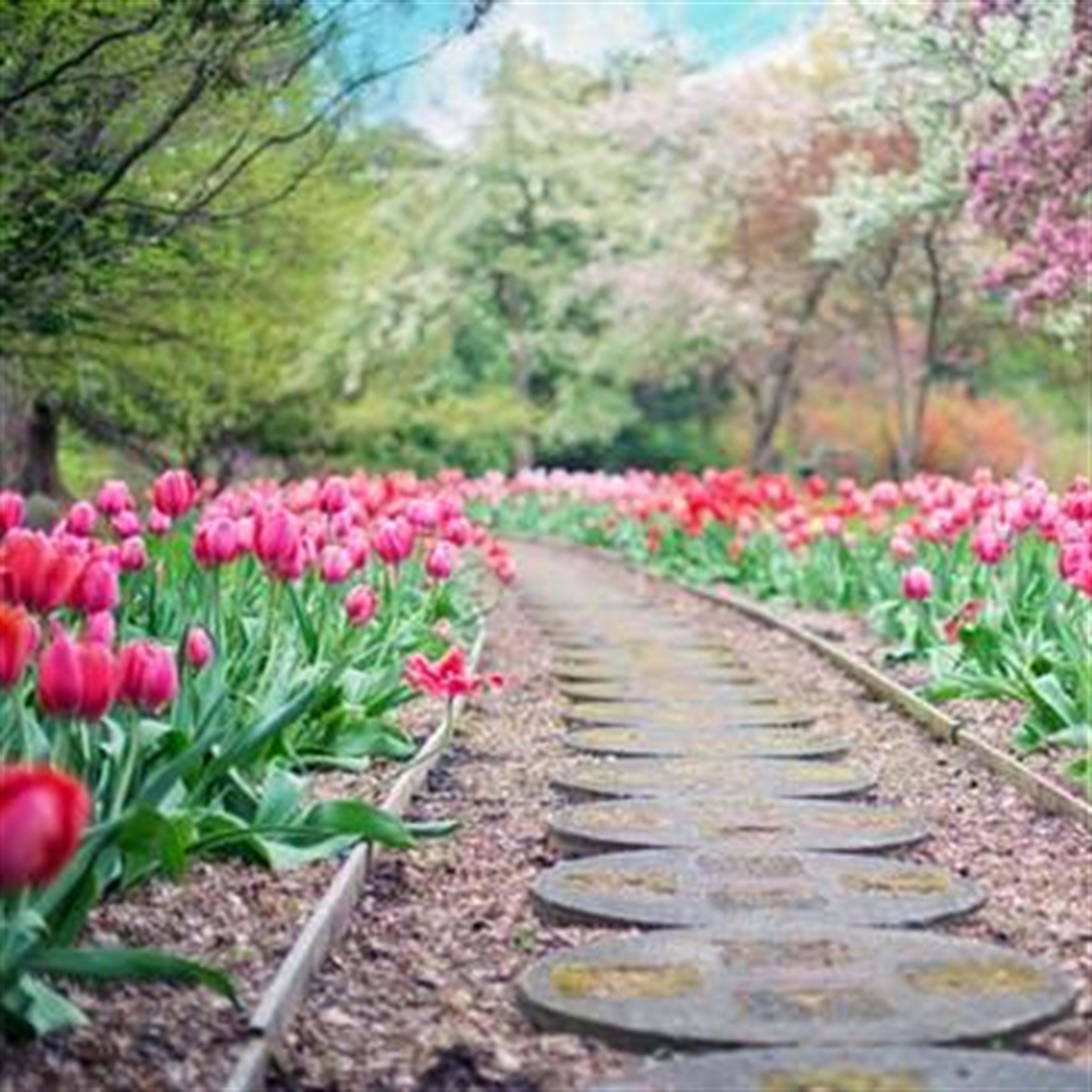 Patsy "Patti" Lischefski (Bolivar)