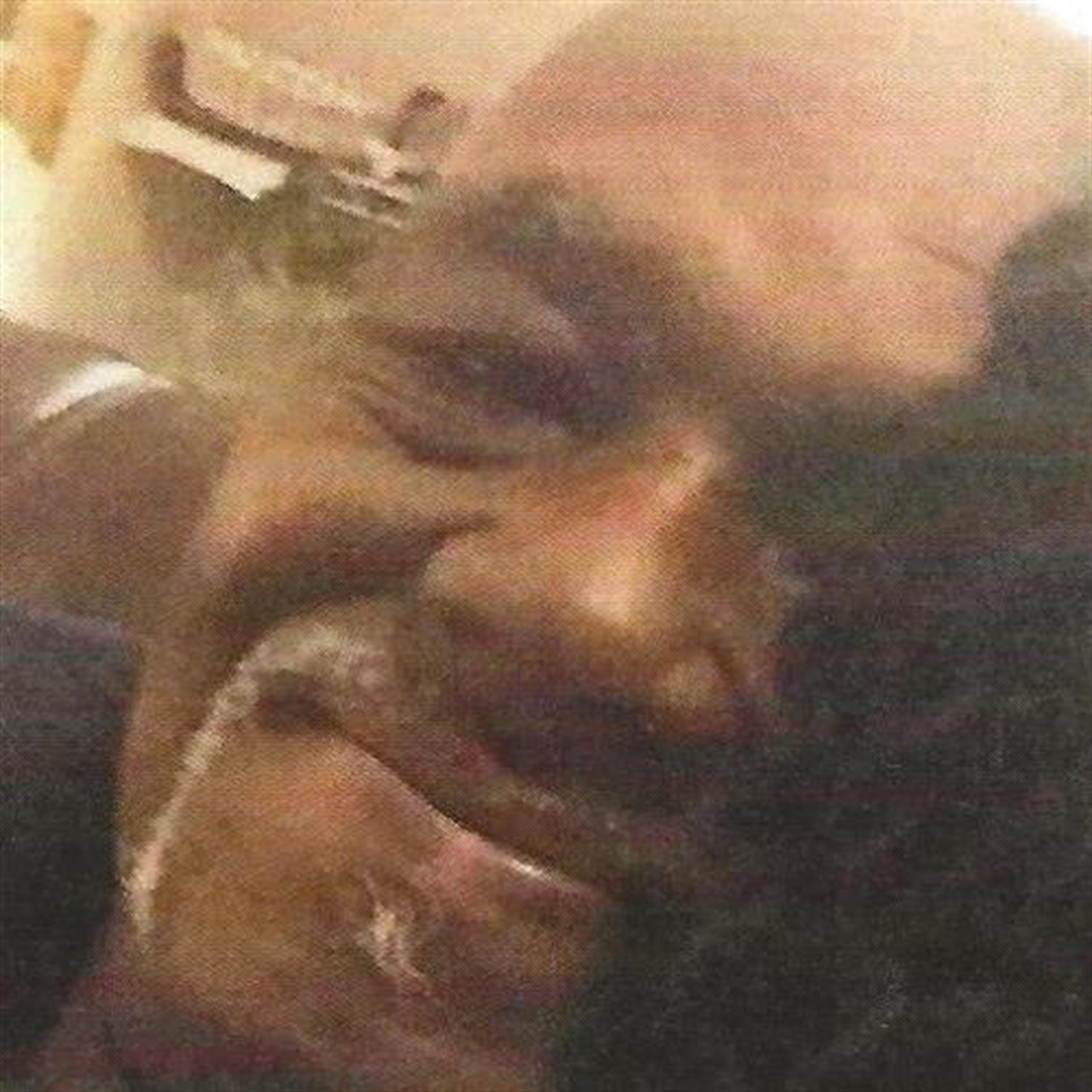 Mr. Mark McCoy's obituary picture