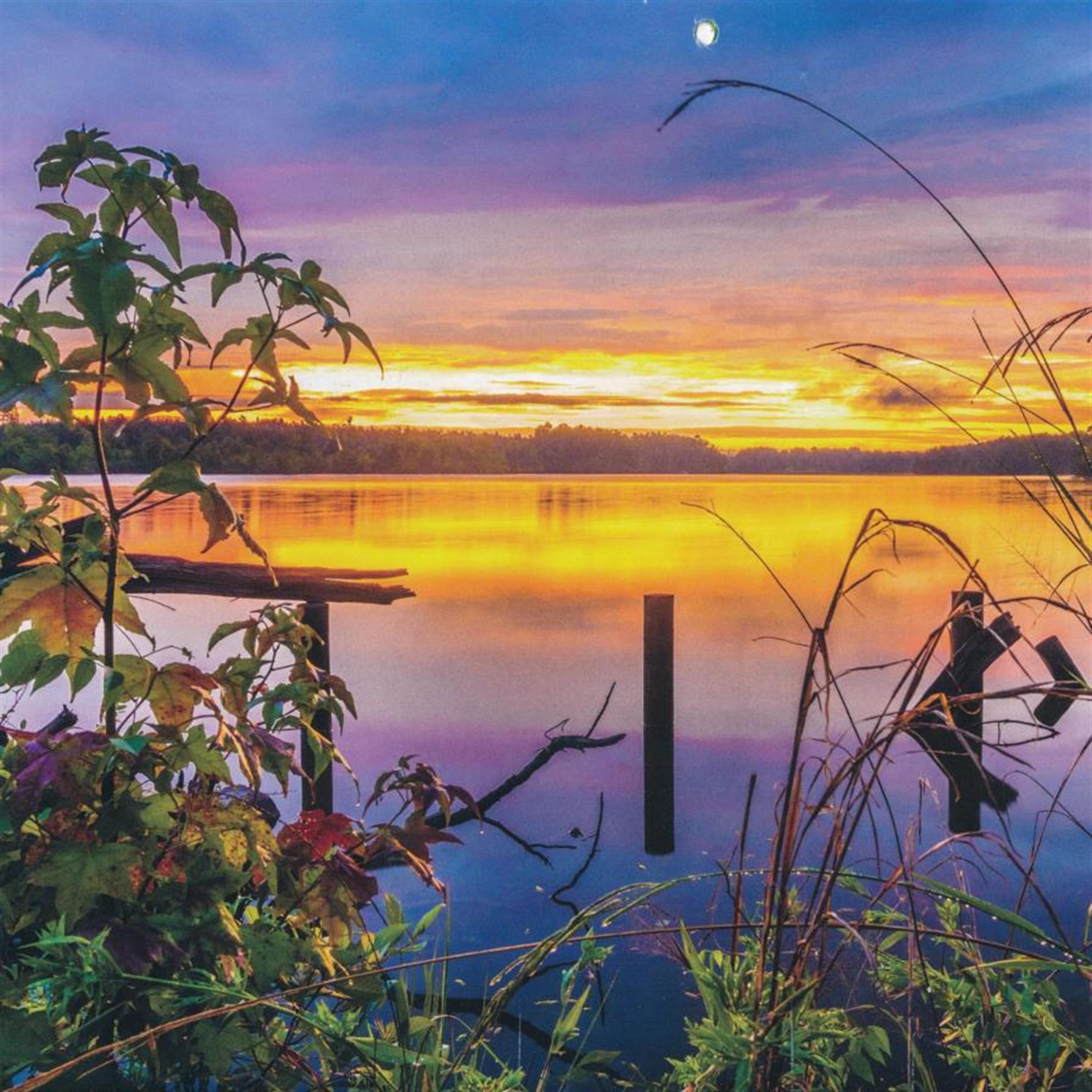 Billie Tapp Schutt's obituary picture