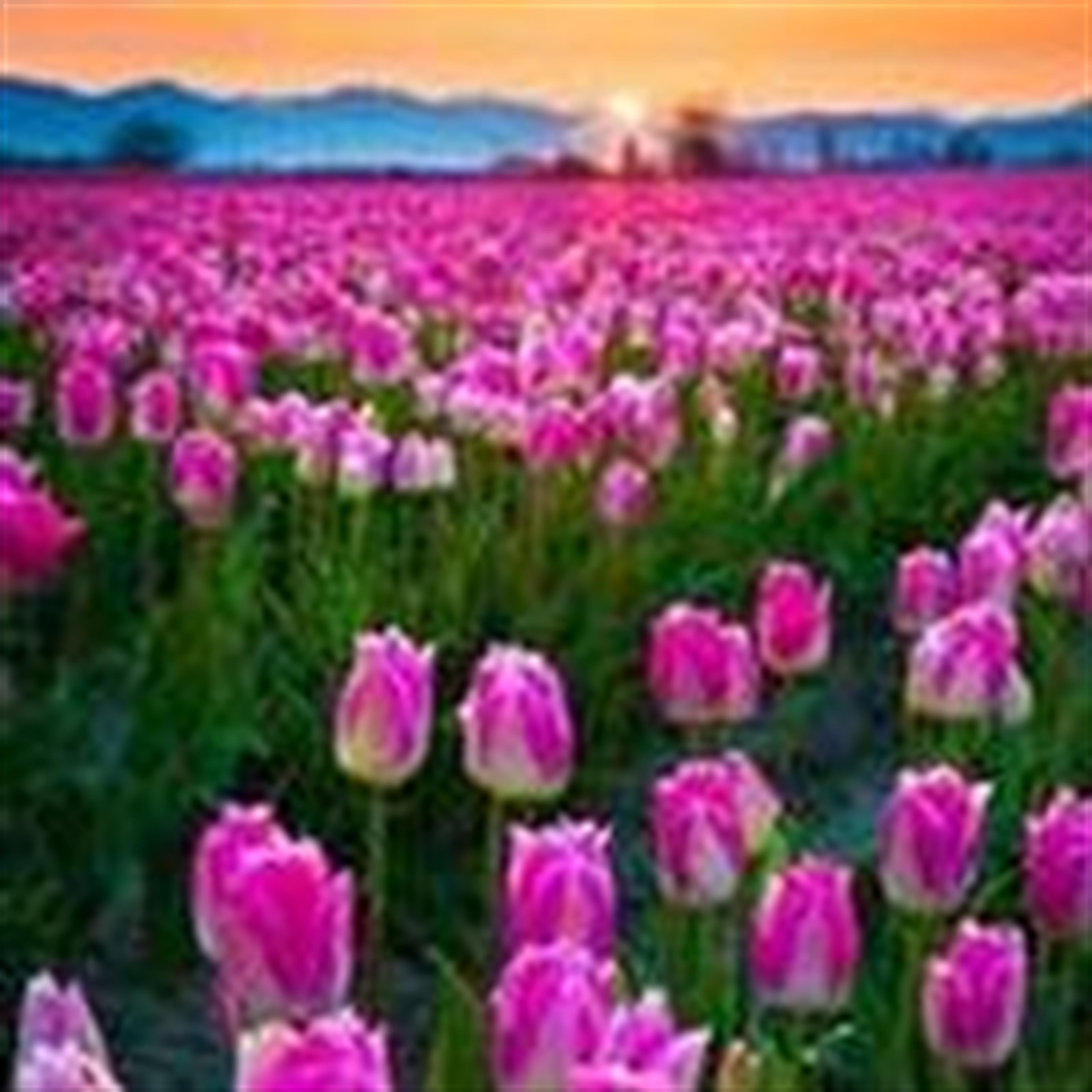 Rubye M. Henson's obituary picture