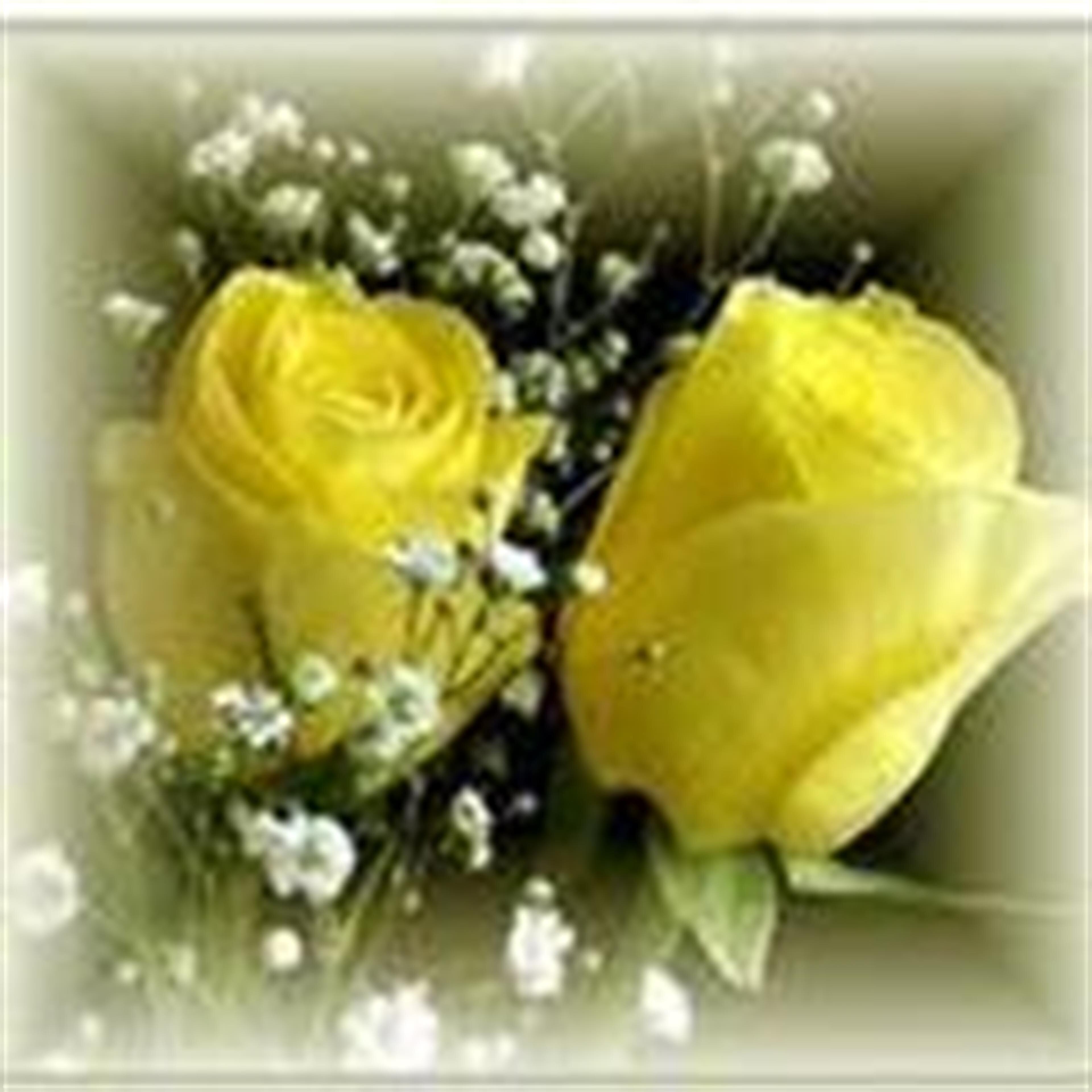 Shirley Jean Davidson