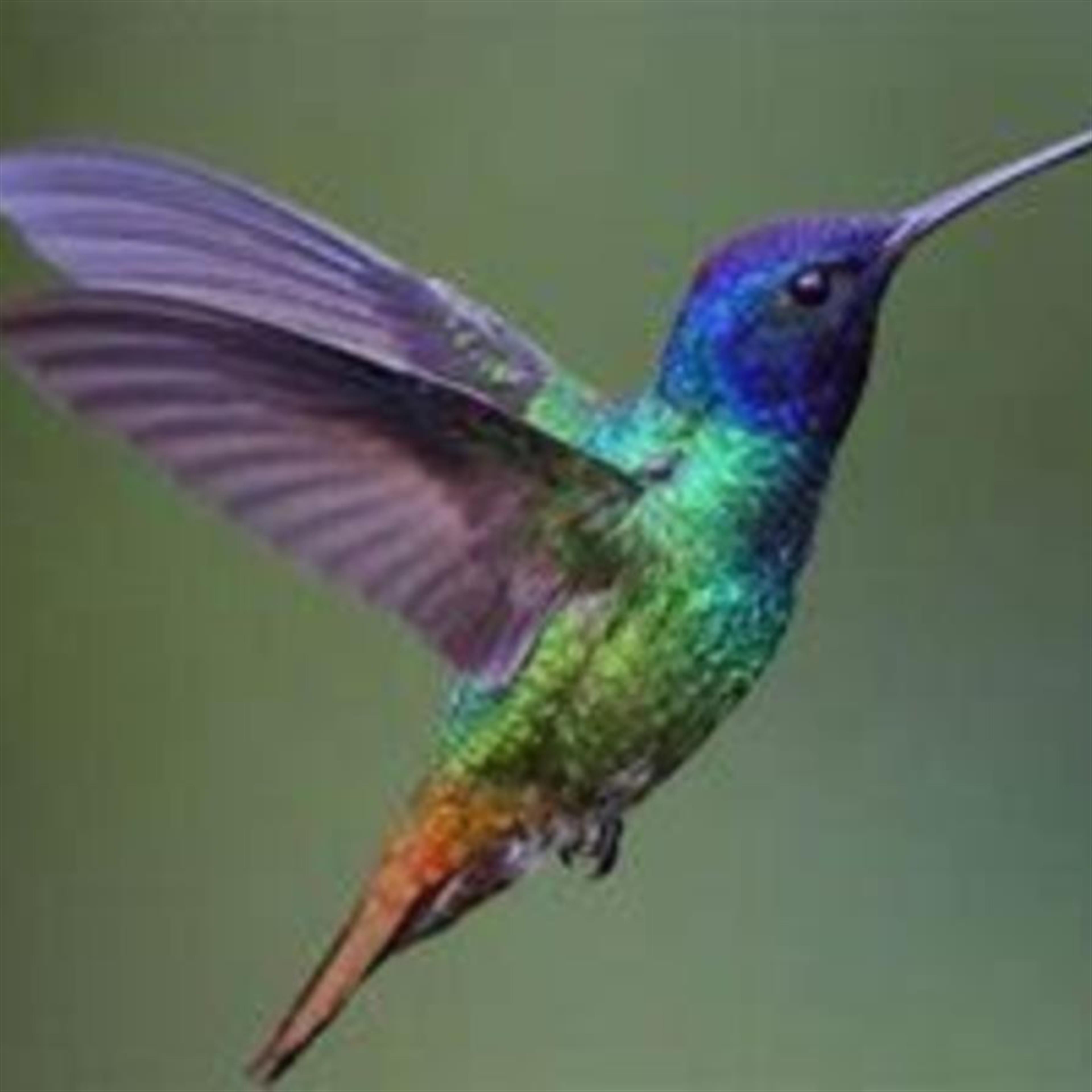 Bonita Arieta Blood's obituary picture