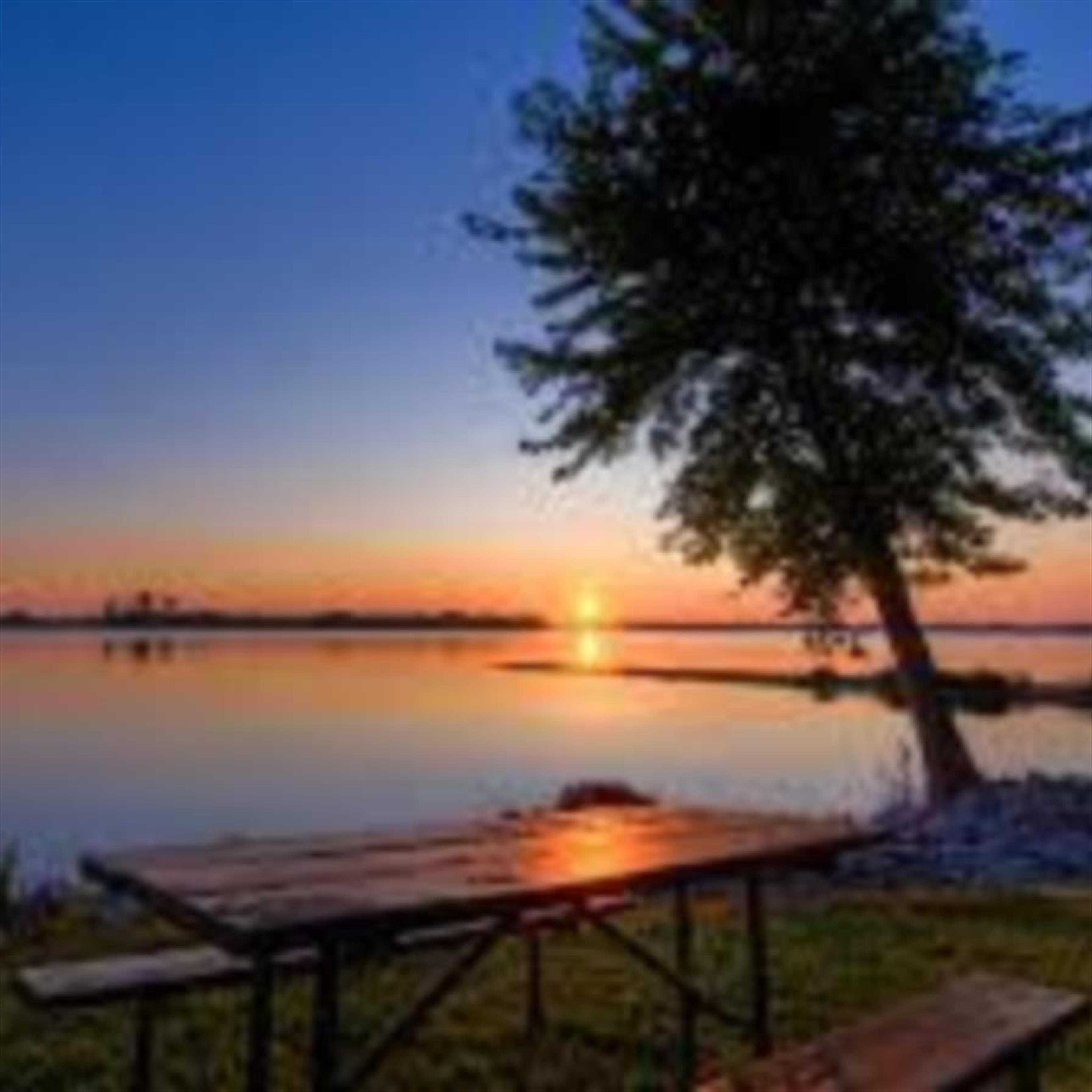 Harry K. Wynns (Buffalo)'s obituary picture