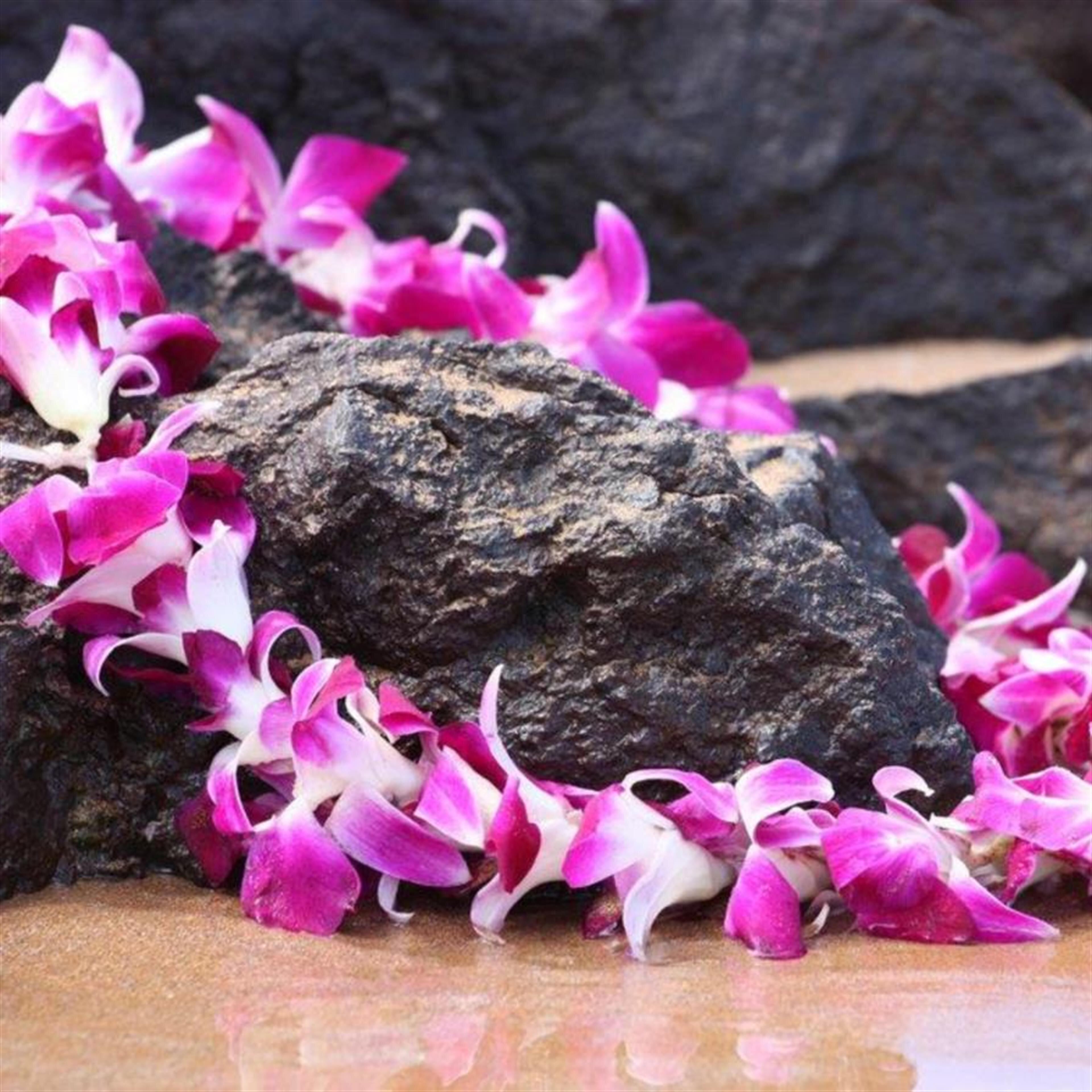 Avamelle Makua White