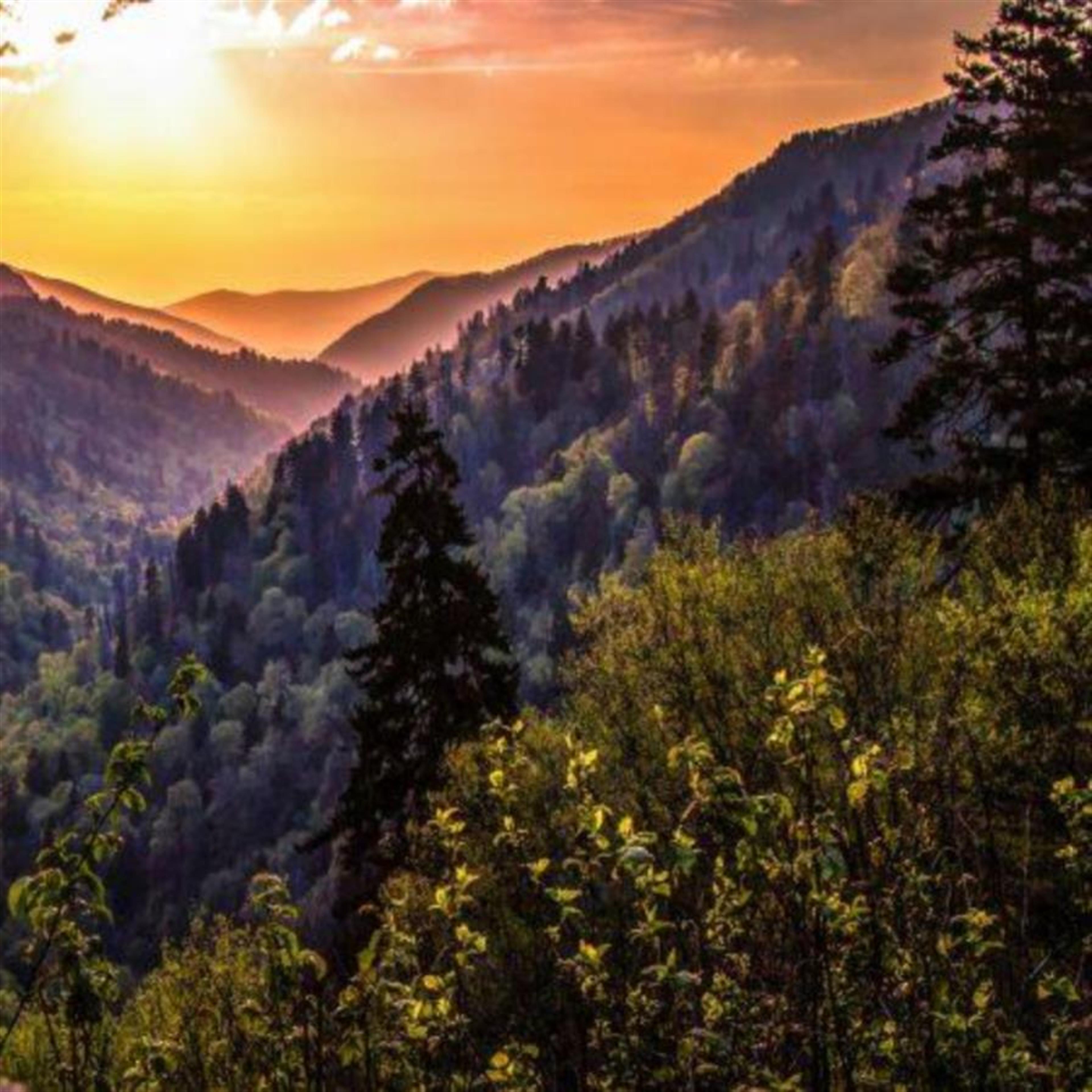 Mrs. Sara Louise Fuller's obituary picture