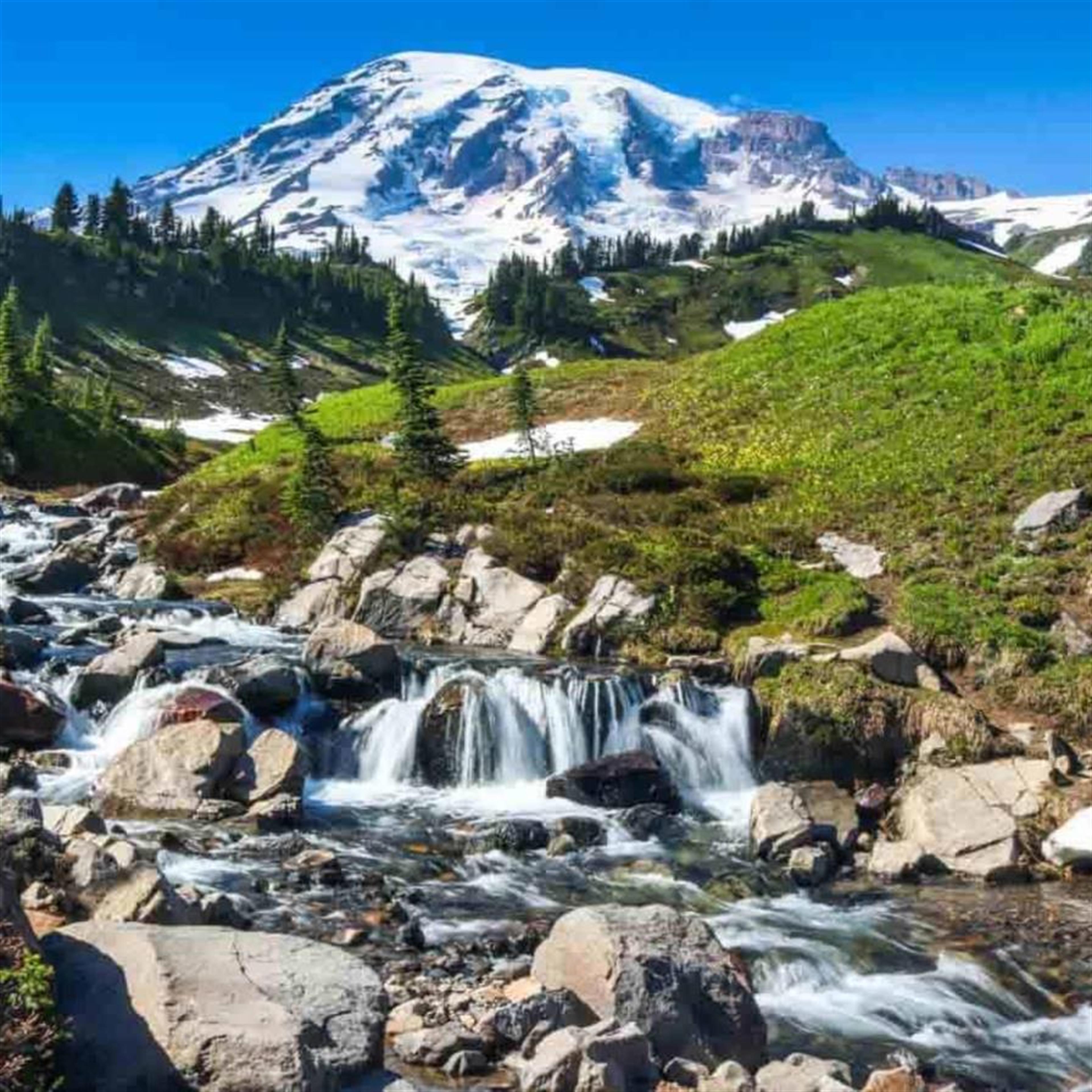 Jason Brandon Handrock