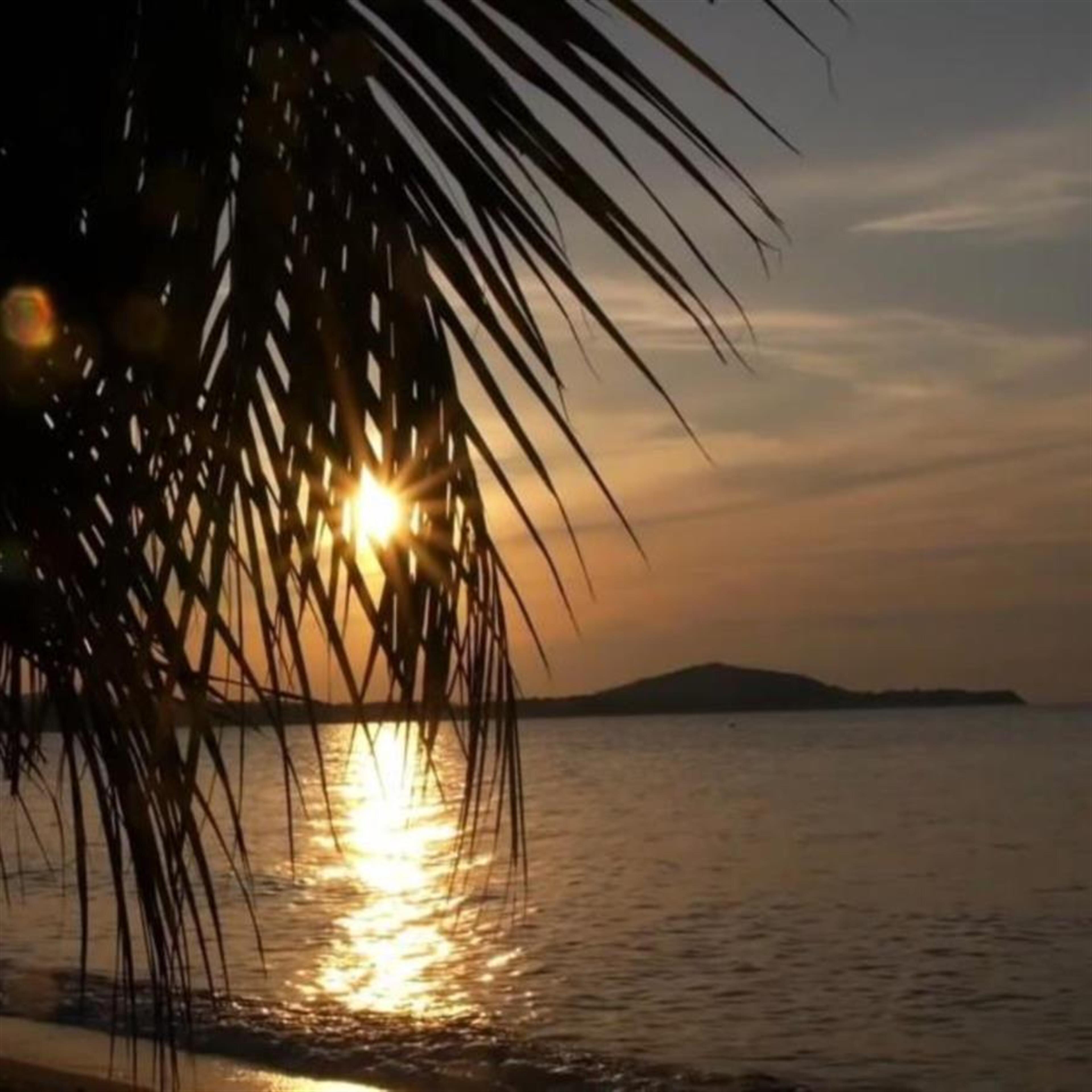 Aukusotino Lalotavai Niu