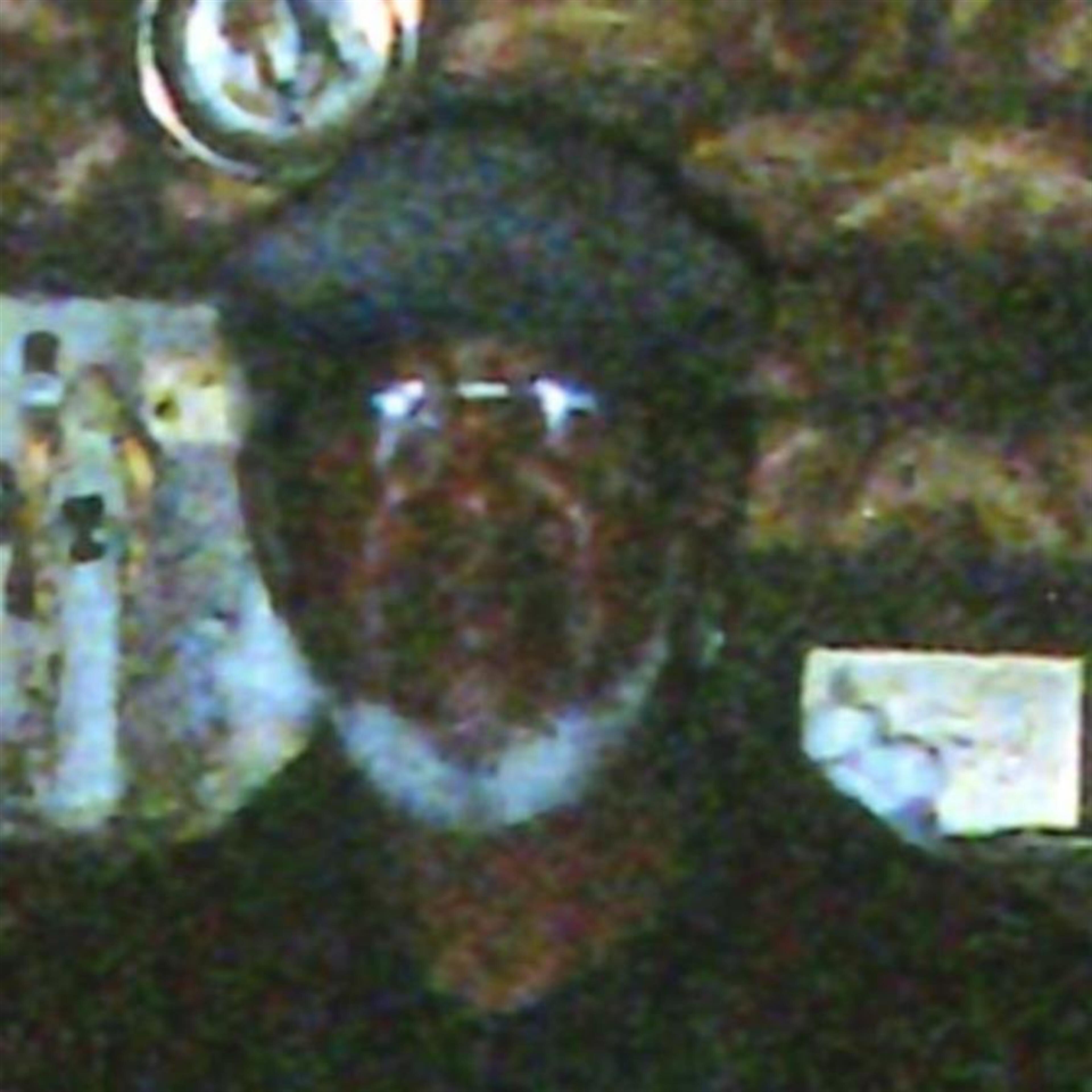 Floyd Carroll Jr.