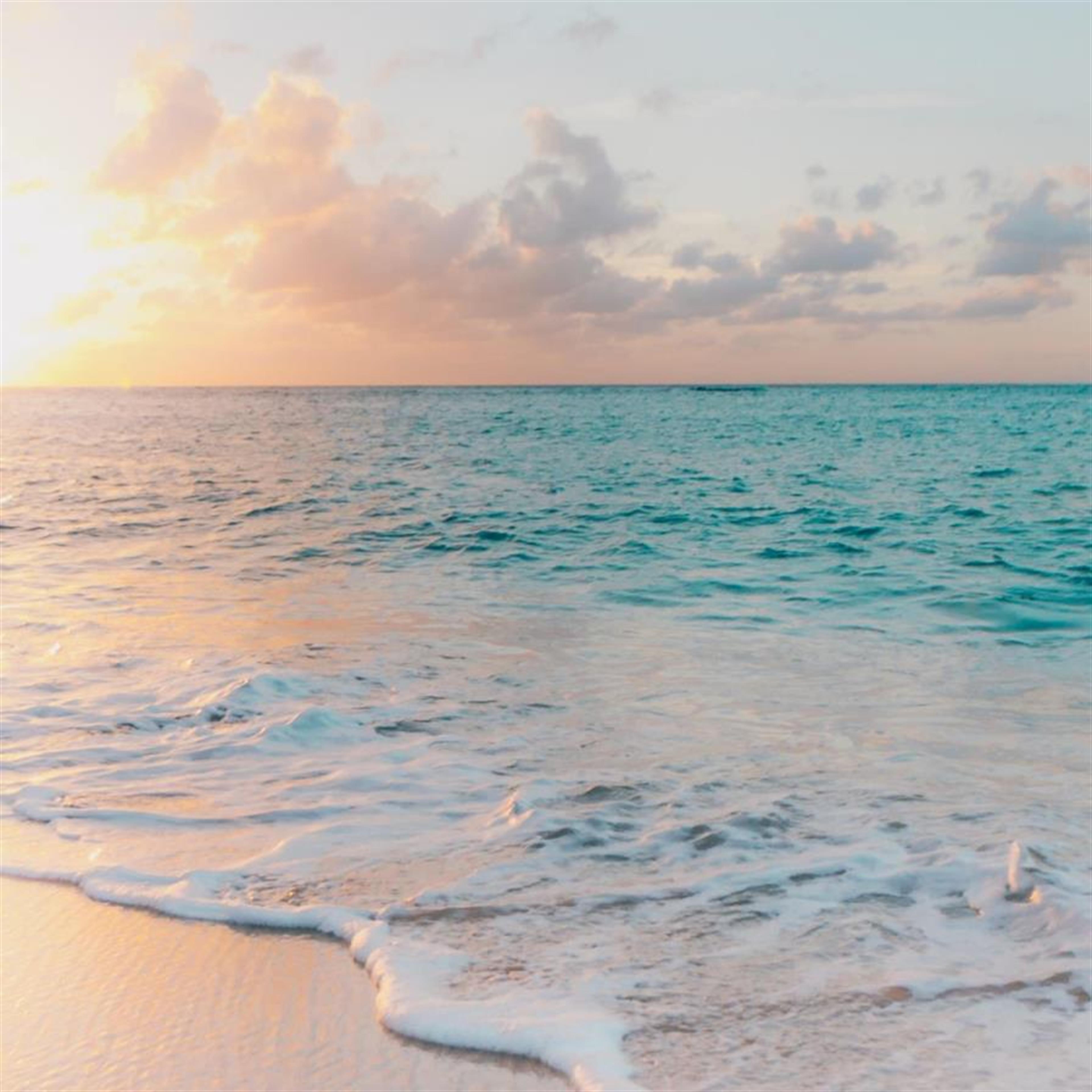 Phyllis Lloyd's obituary picture