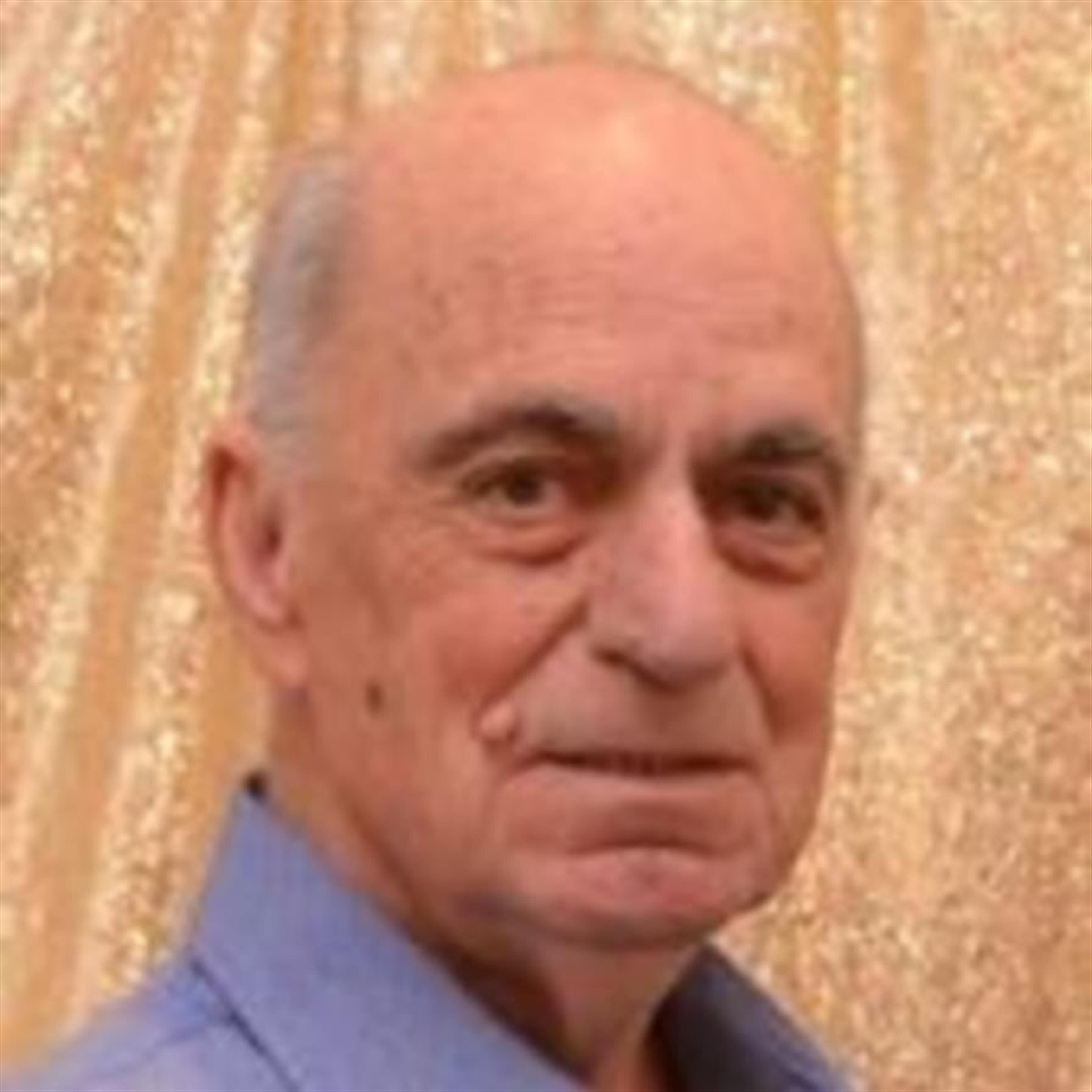 Petros A Petropouleas