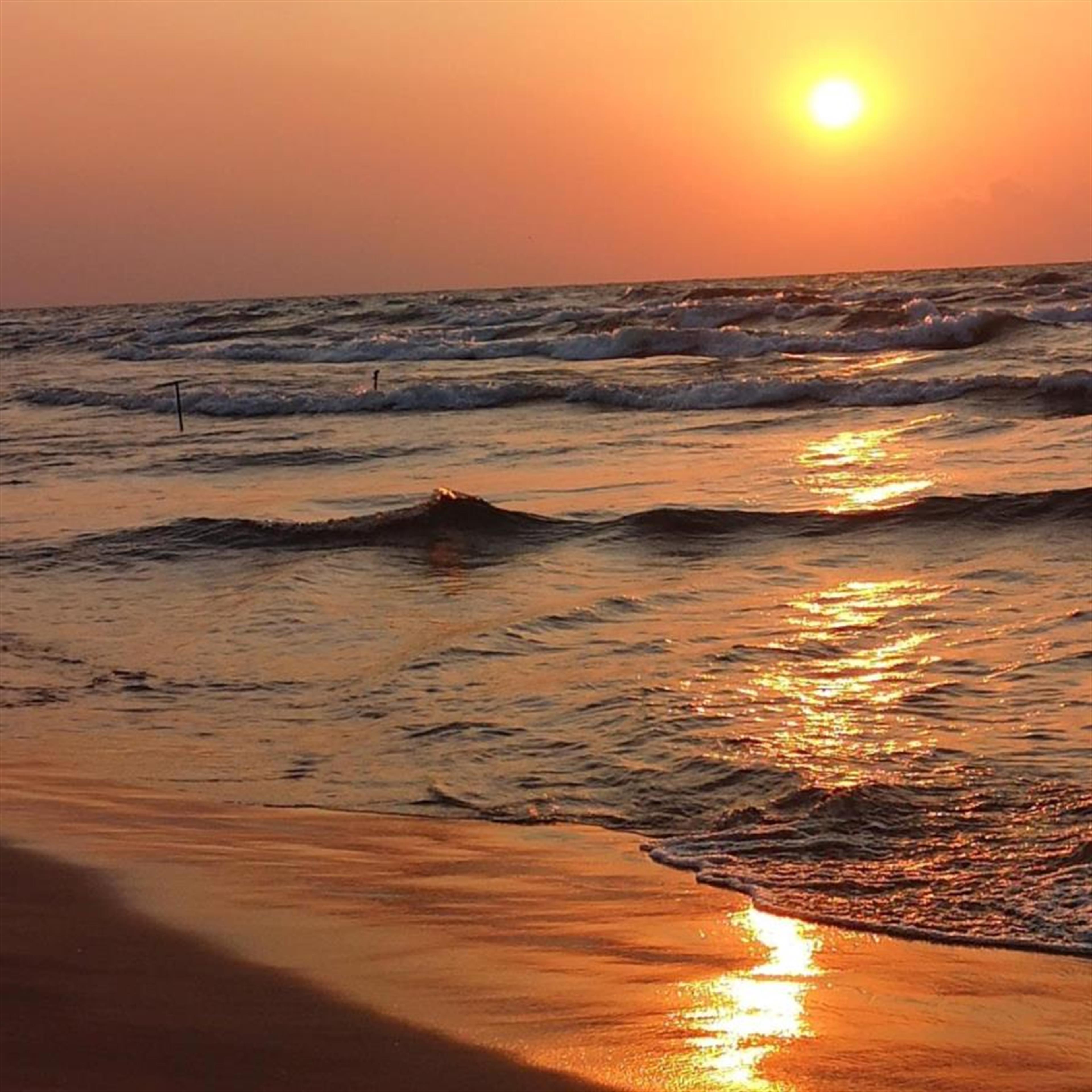 Andrew Ross Tidd's obituary picture