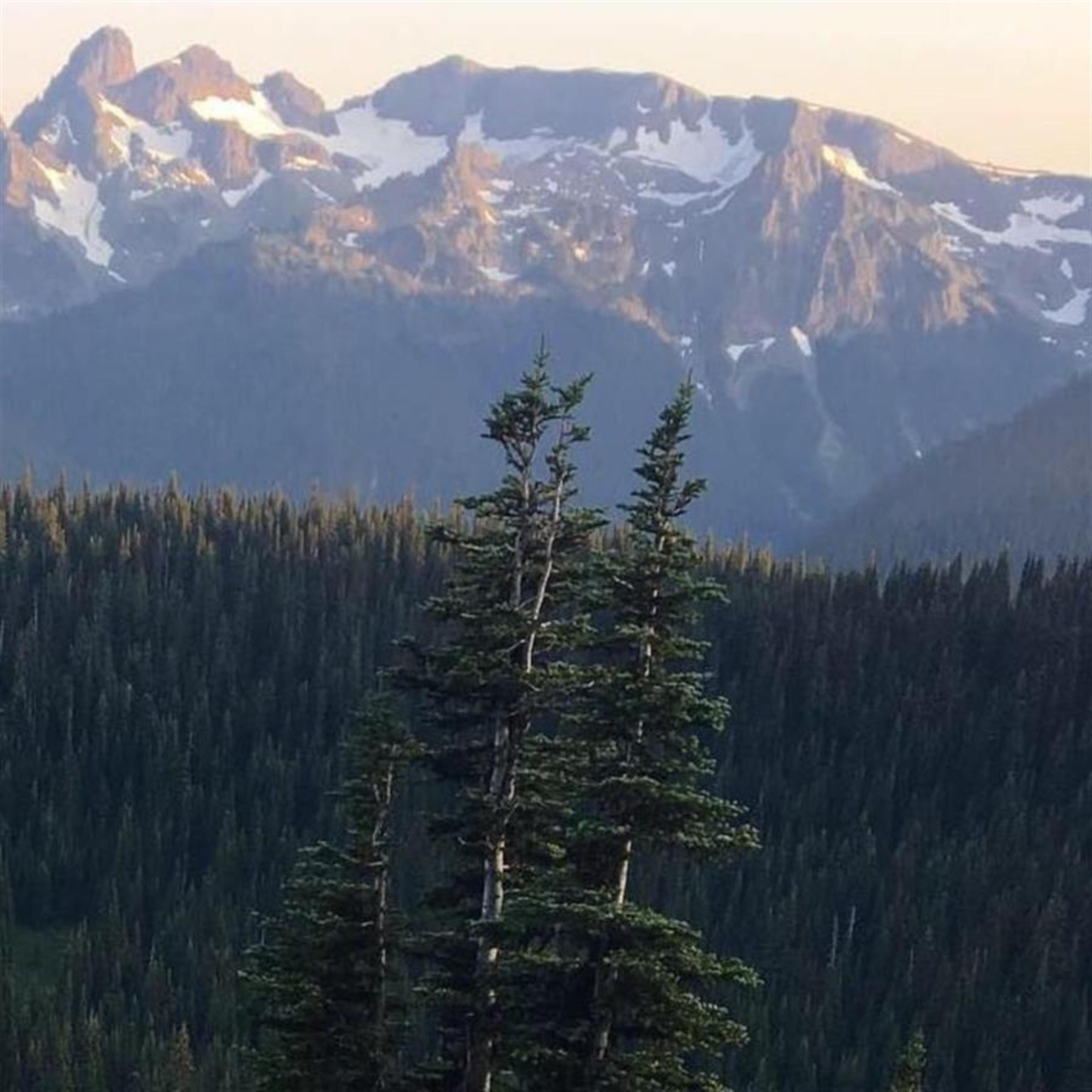 Michael Siegel's obituary picture