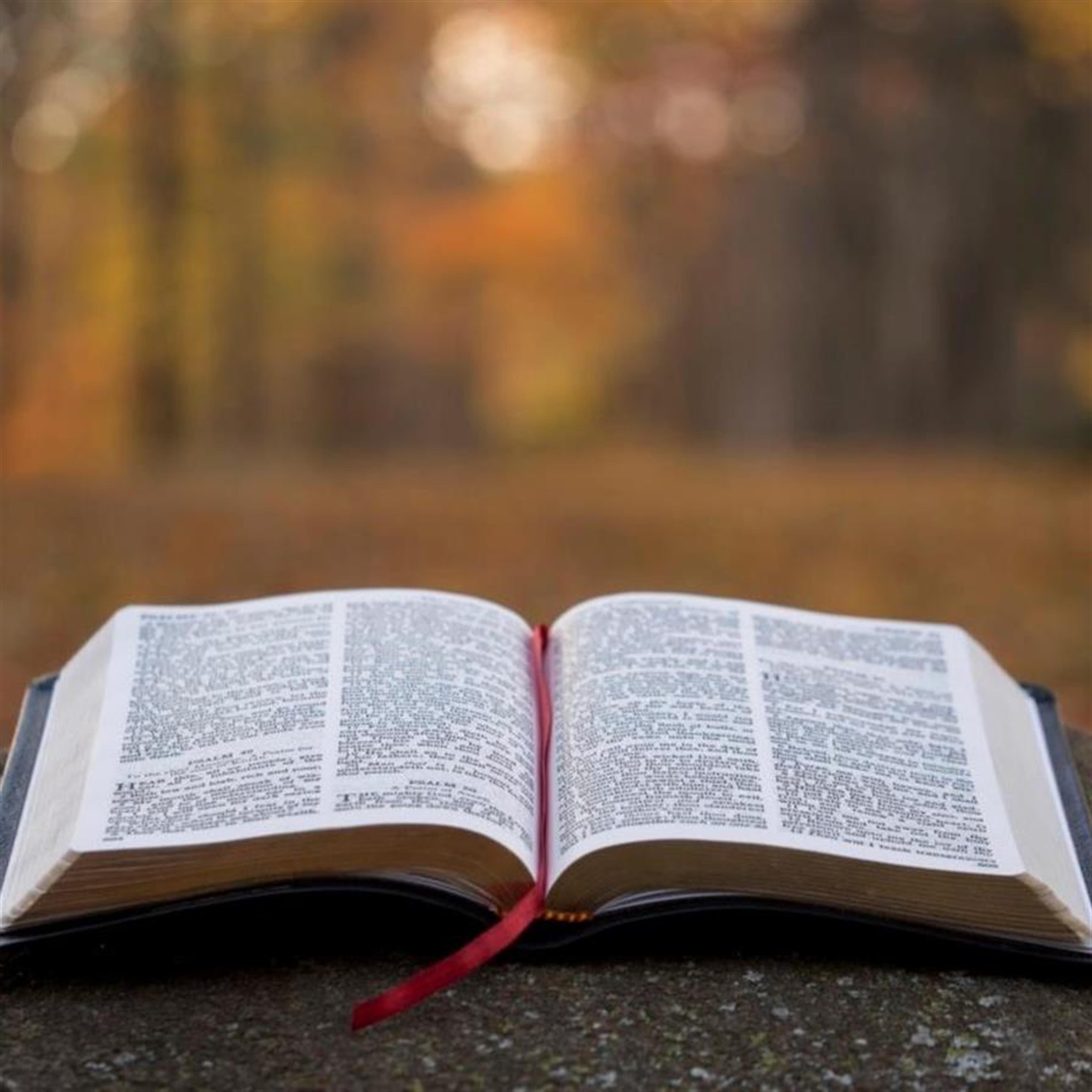 Mr. William David Fuller's obituary picture