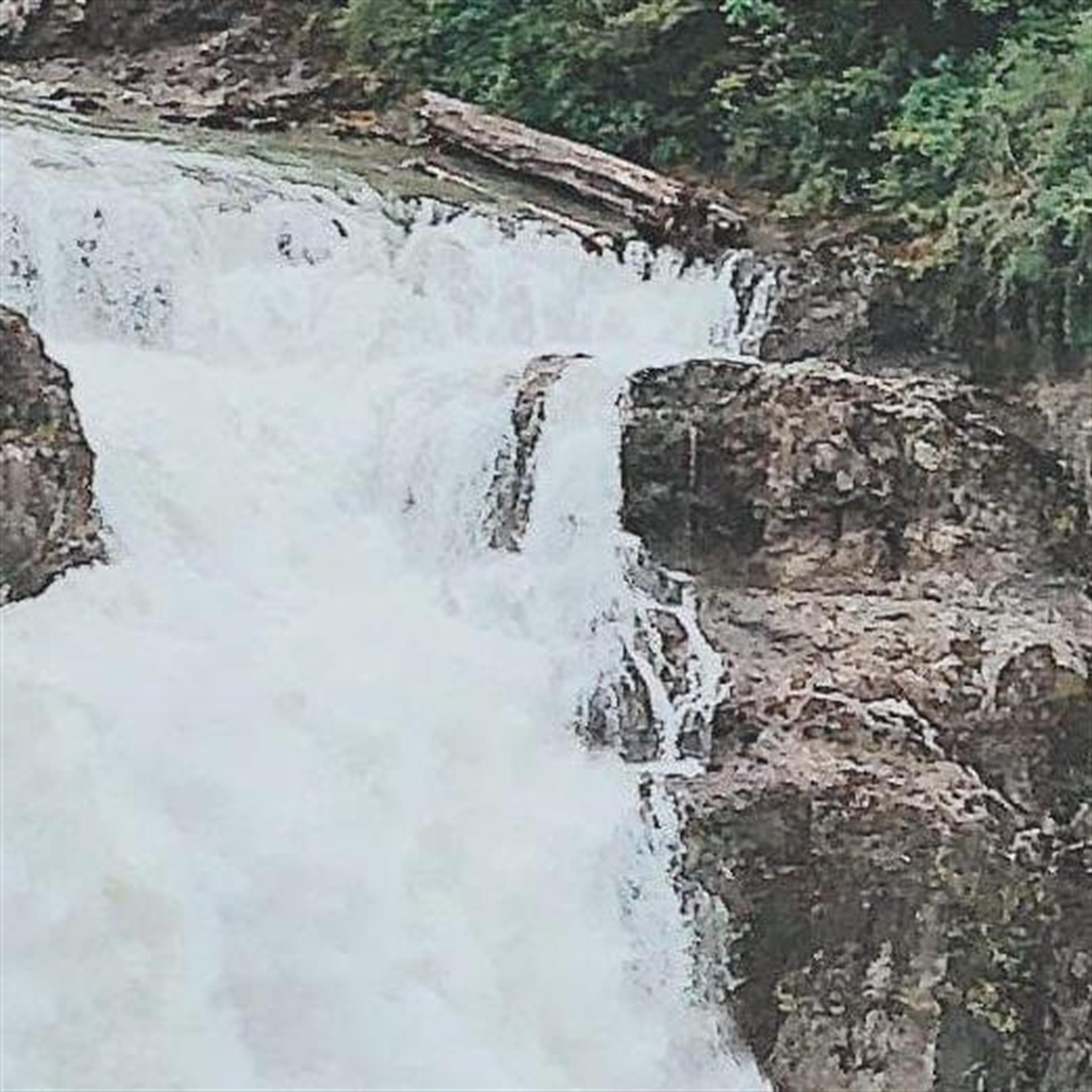 Harry Warner's obituary picture