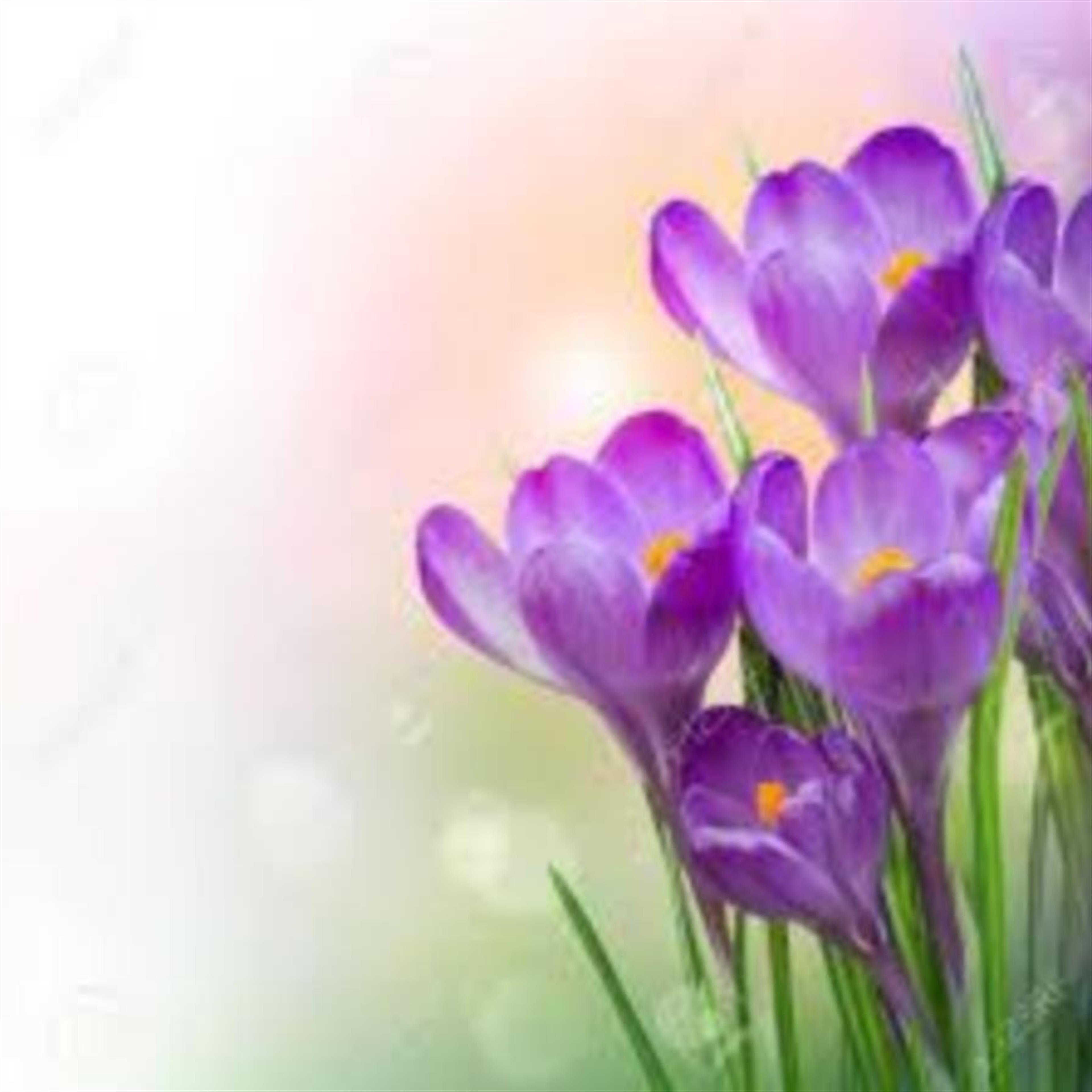 Carol W Asher