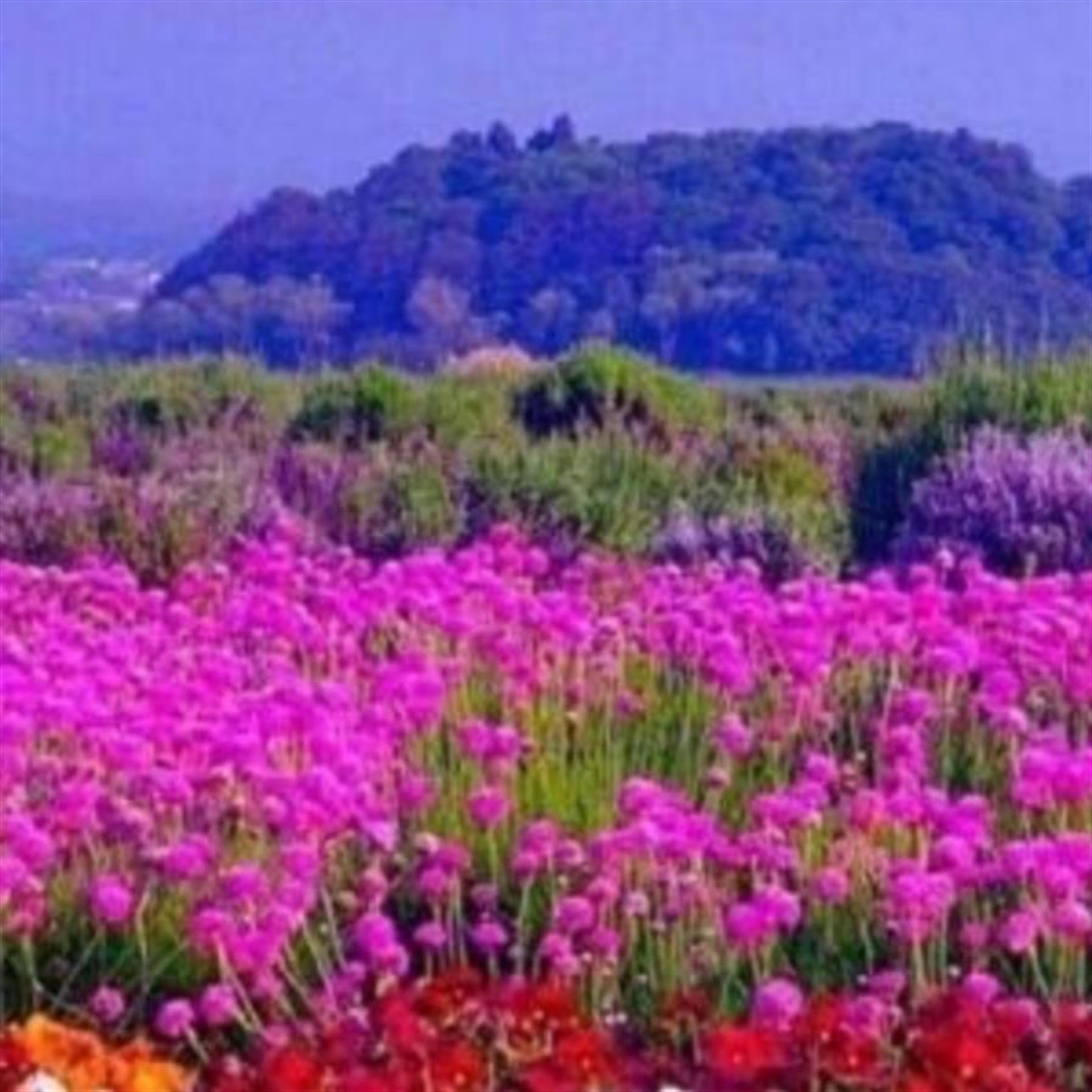 Kathi Wenzel's obituary picture