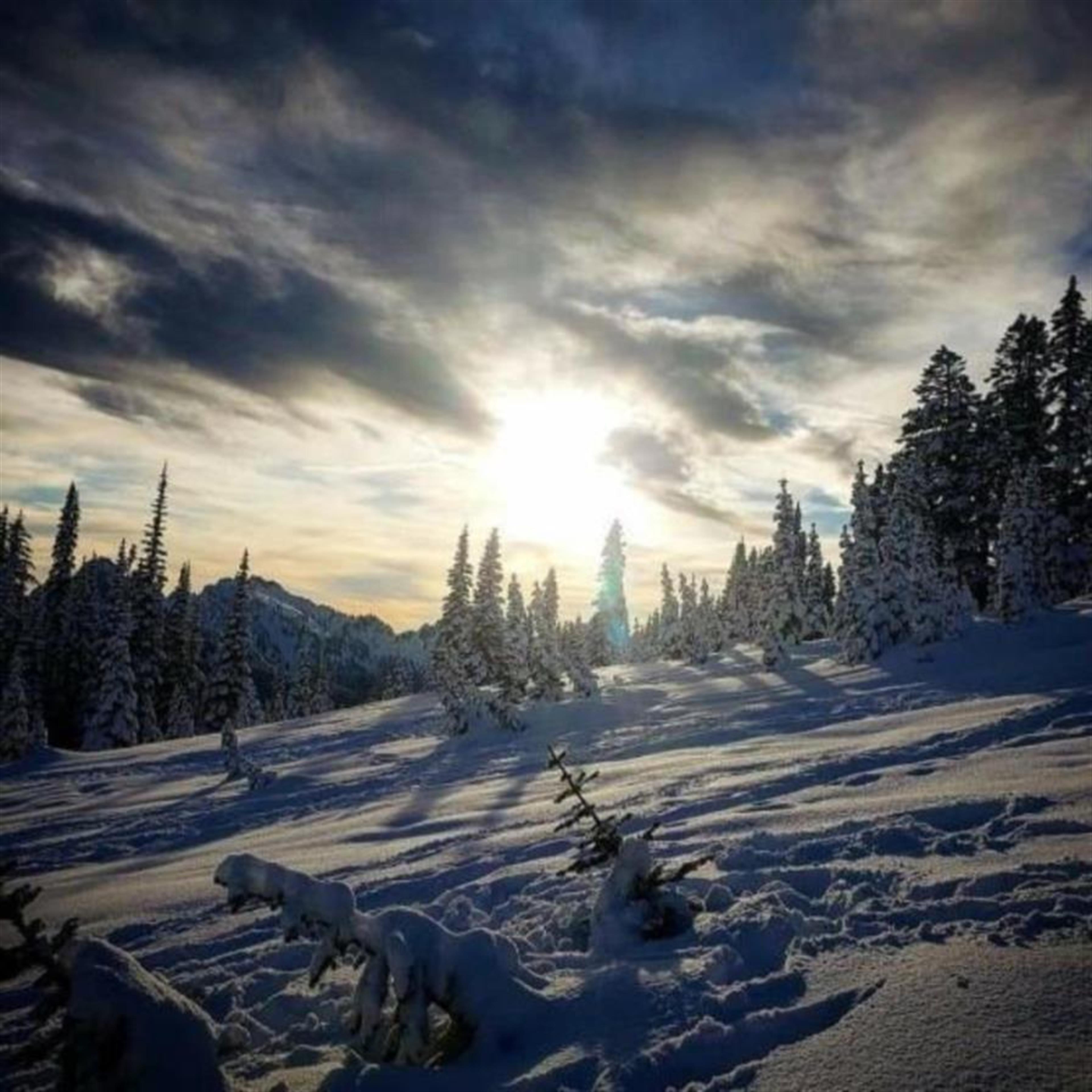 Garry Darnstaedt's obituary picture