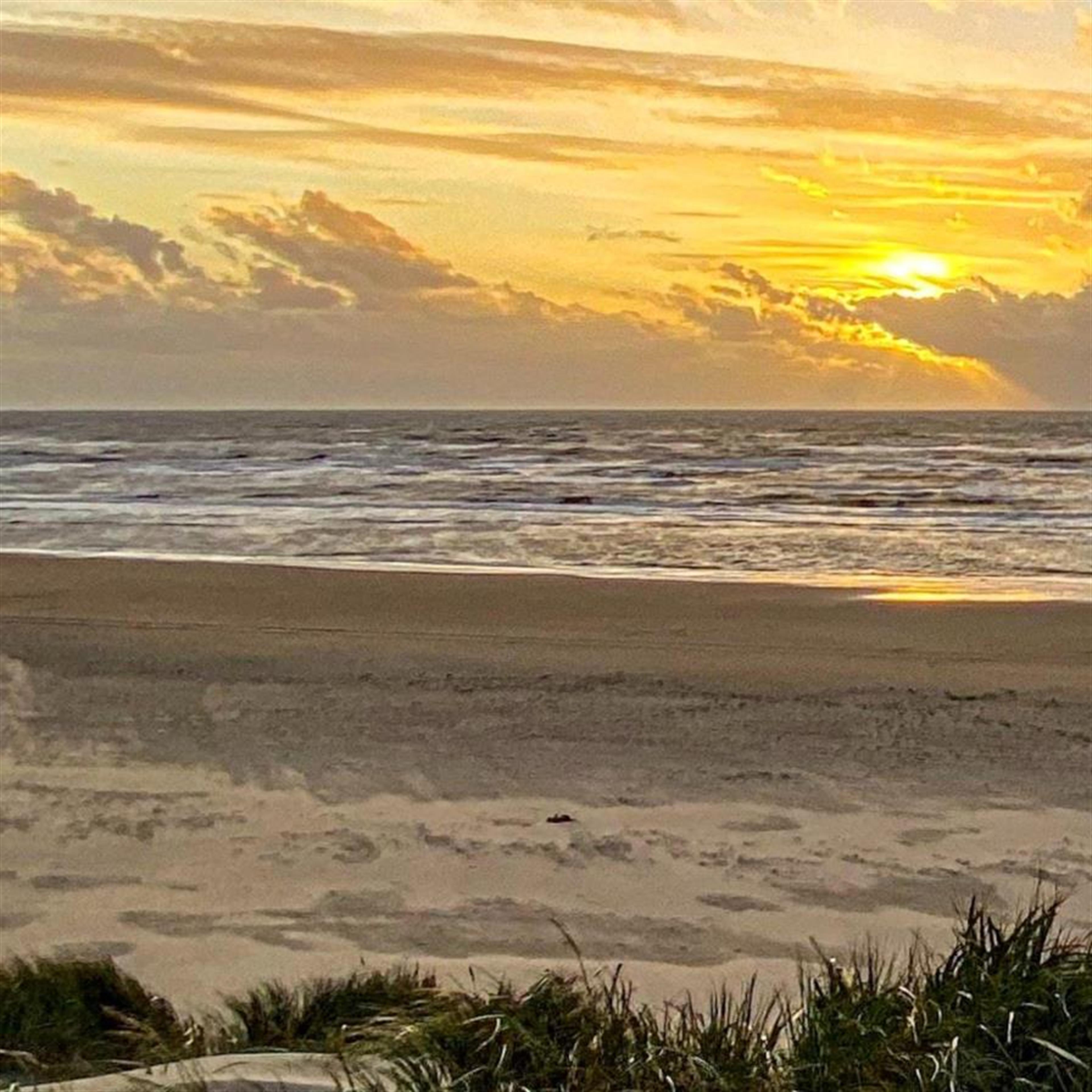 Jean Arlene Hale's obituary picture