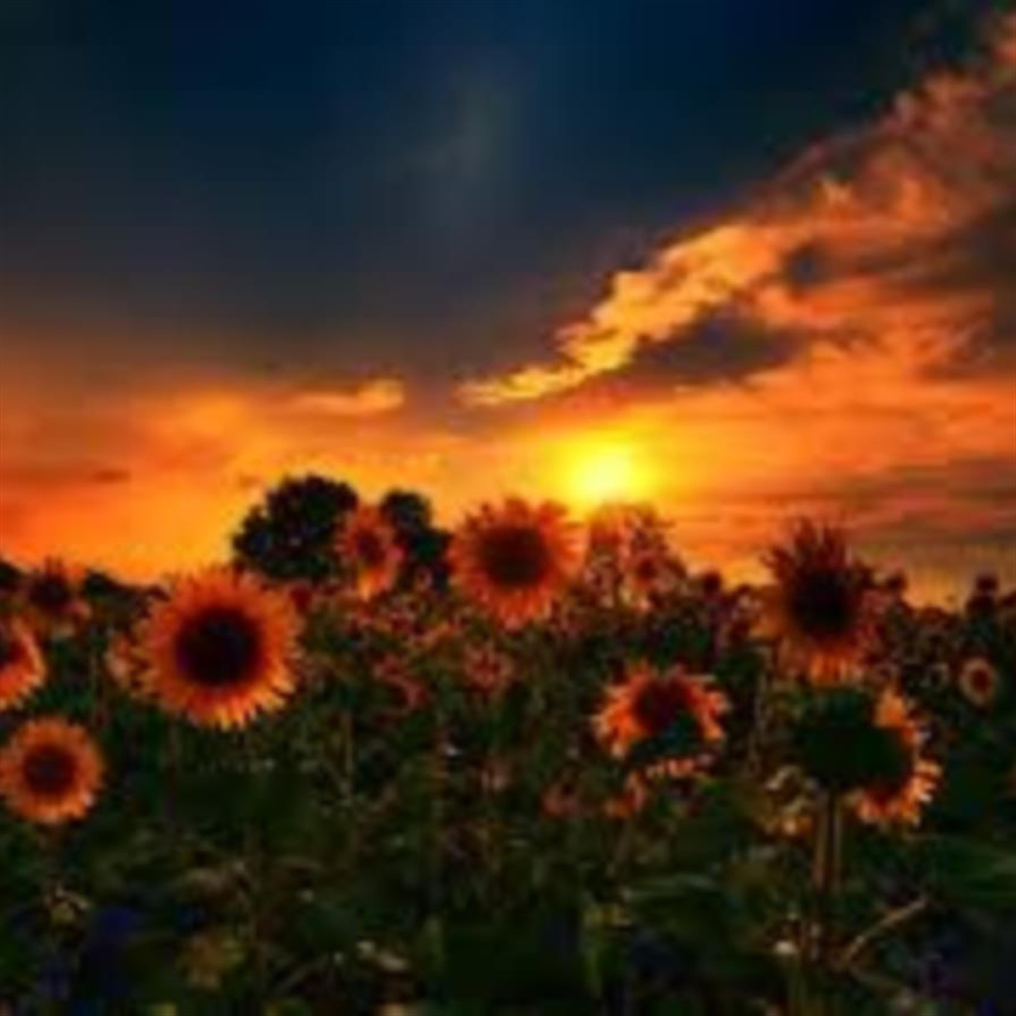 Taiana Fuaga Mortensen