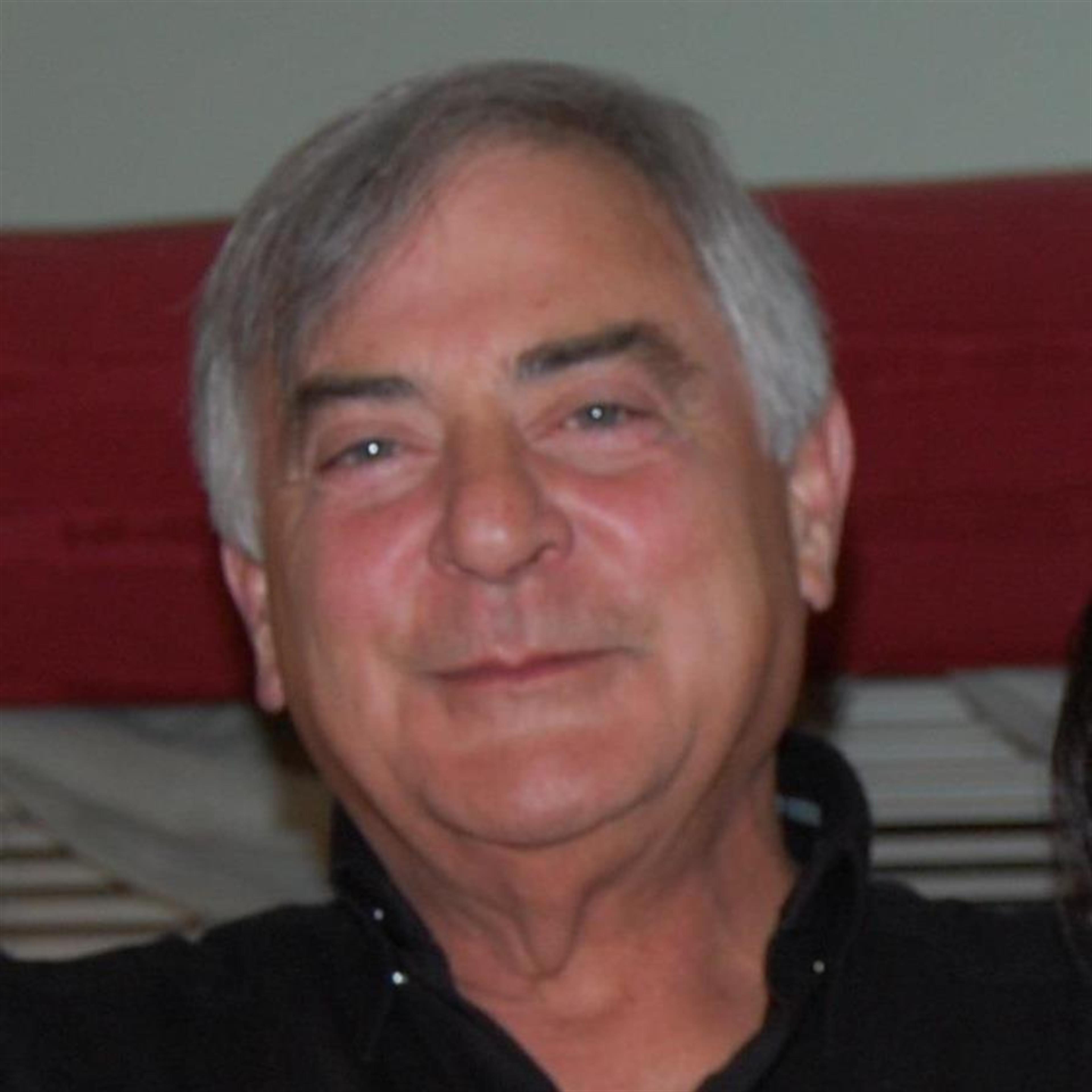 Domenico "Dom" Farnelli Jr.