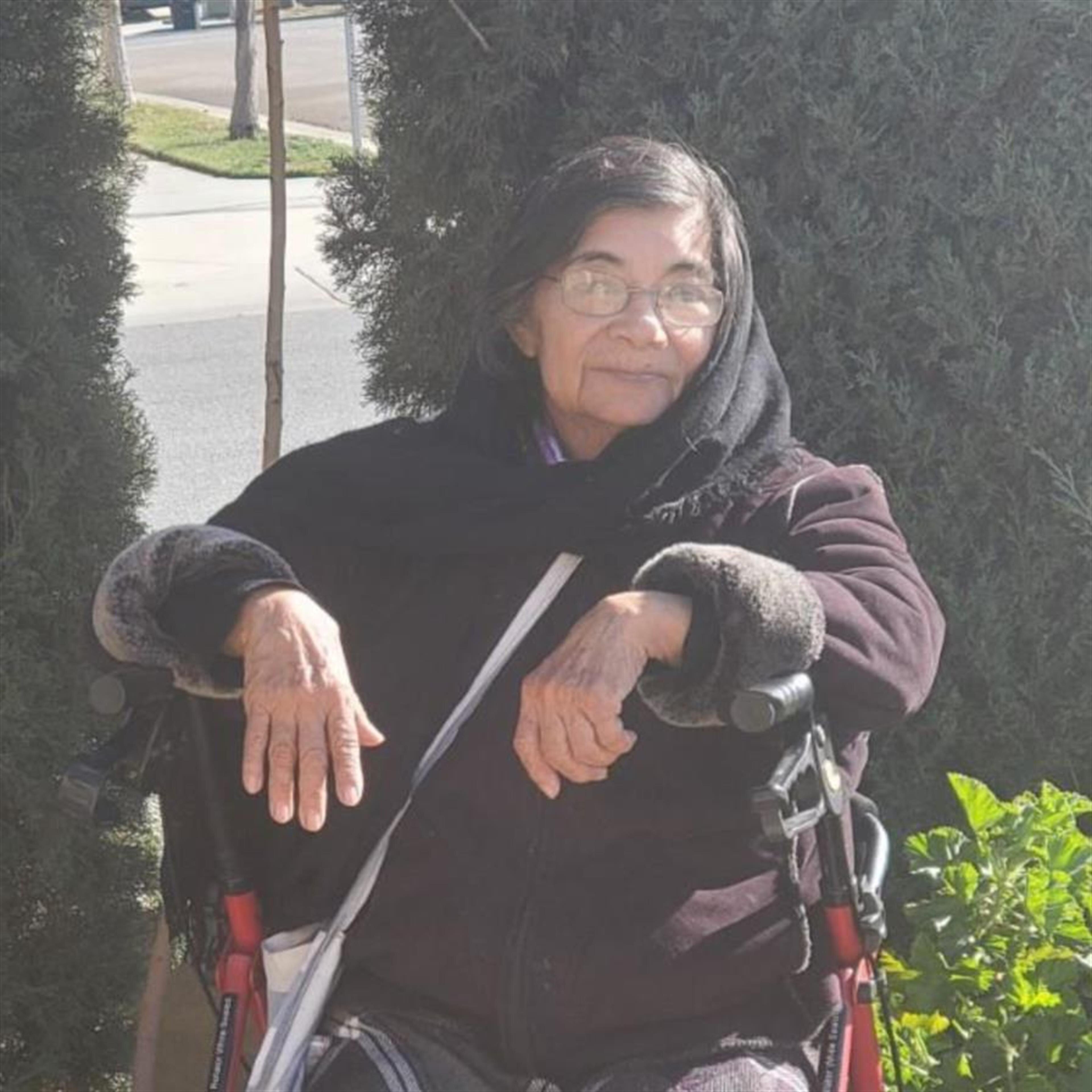 Alfa Luz Da Silva