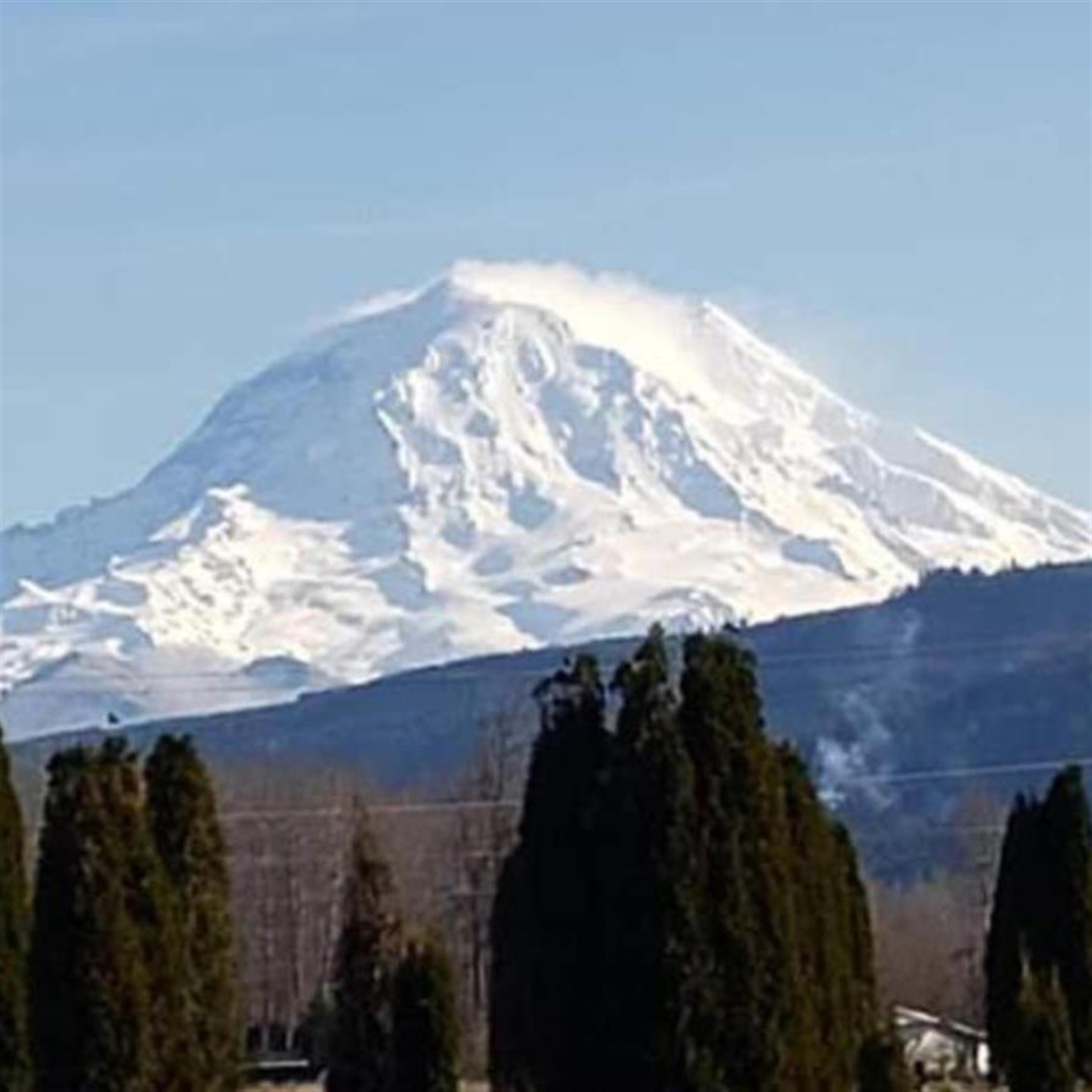 Robert Lane Brandt Jr.'s obituary picture