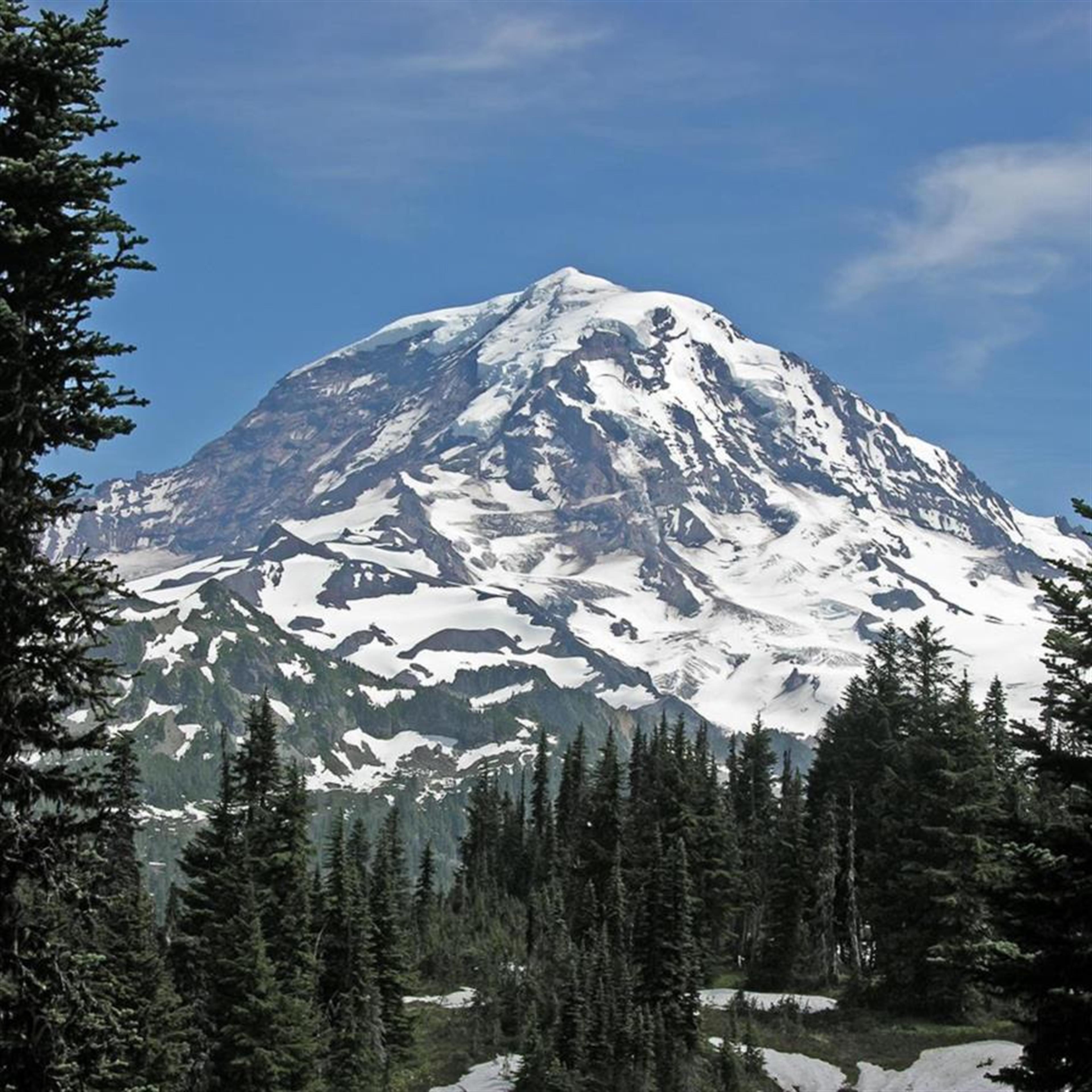 Alexander Loi Nguyen