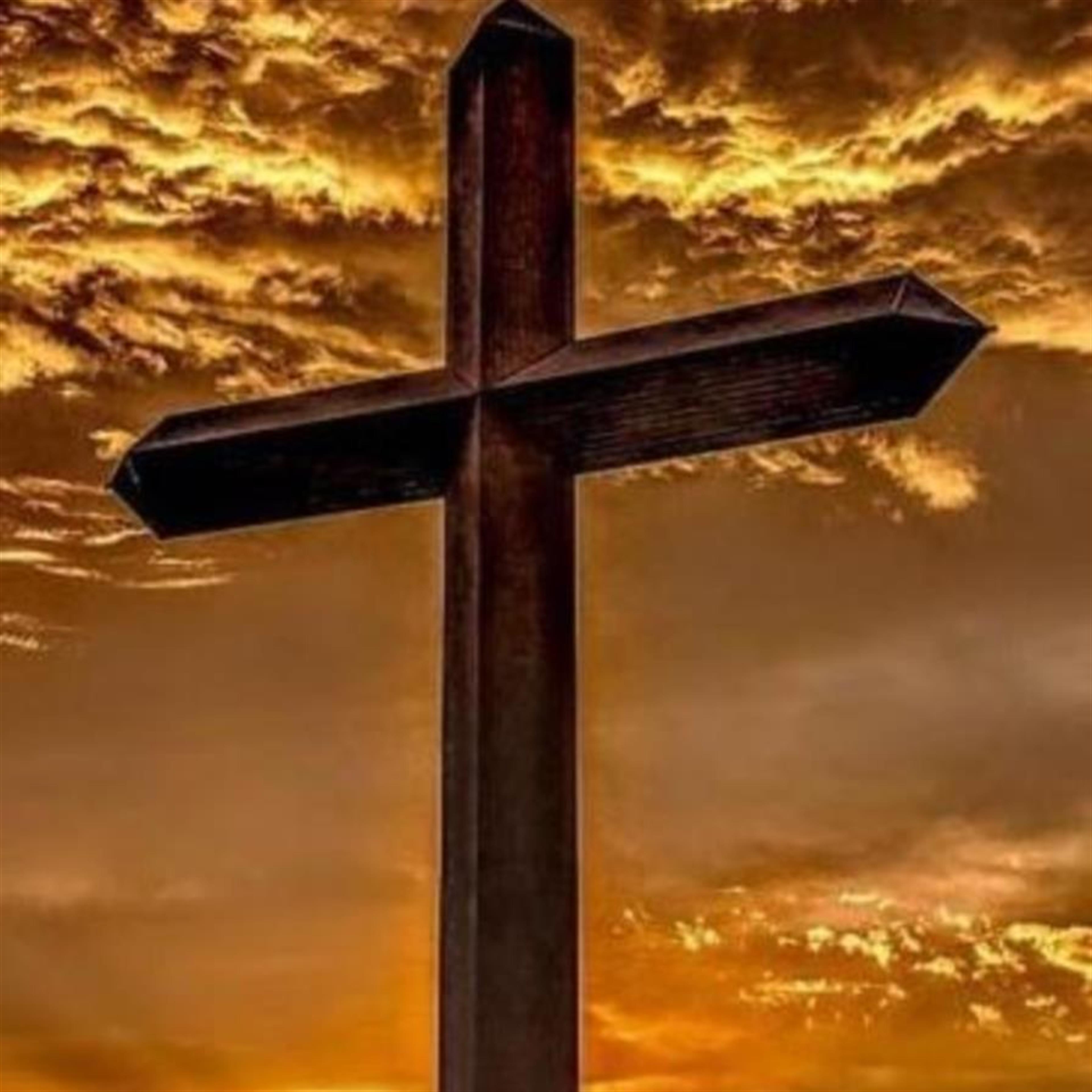 Scott E. Neill, III (Urbana)