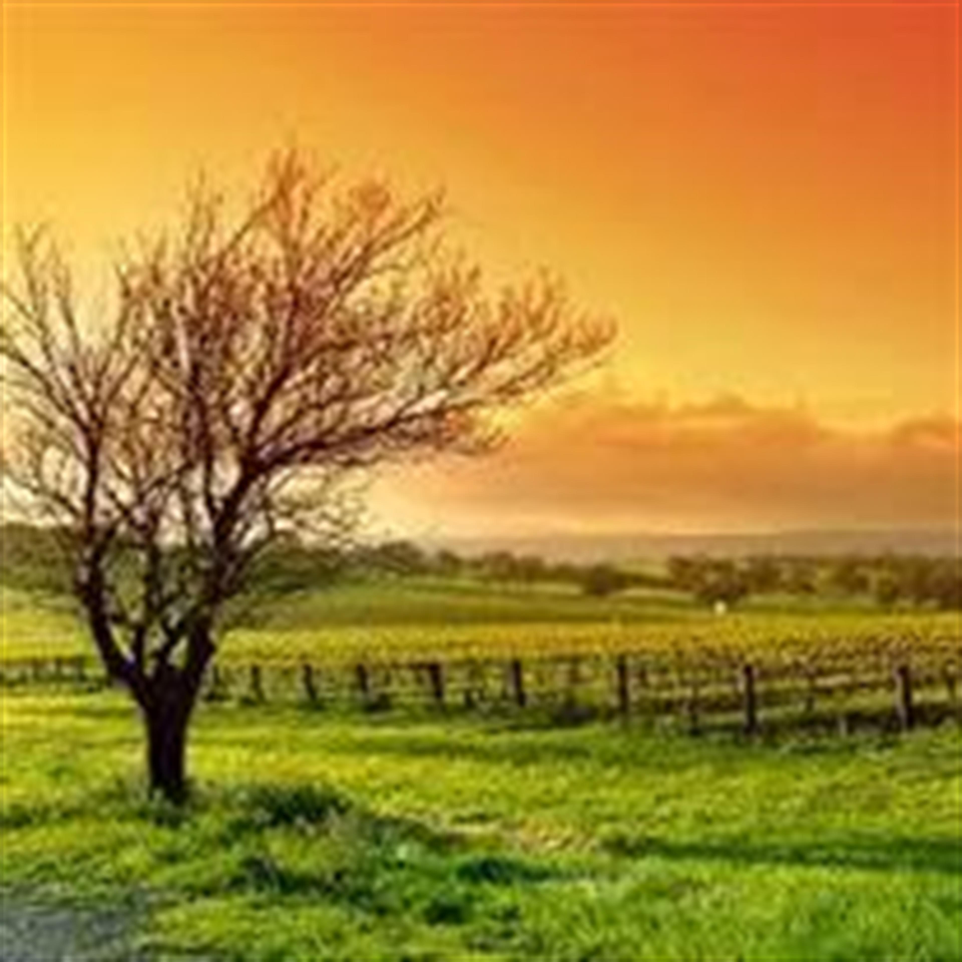 Levi H. Miller (Lebanon)