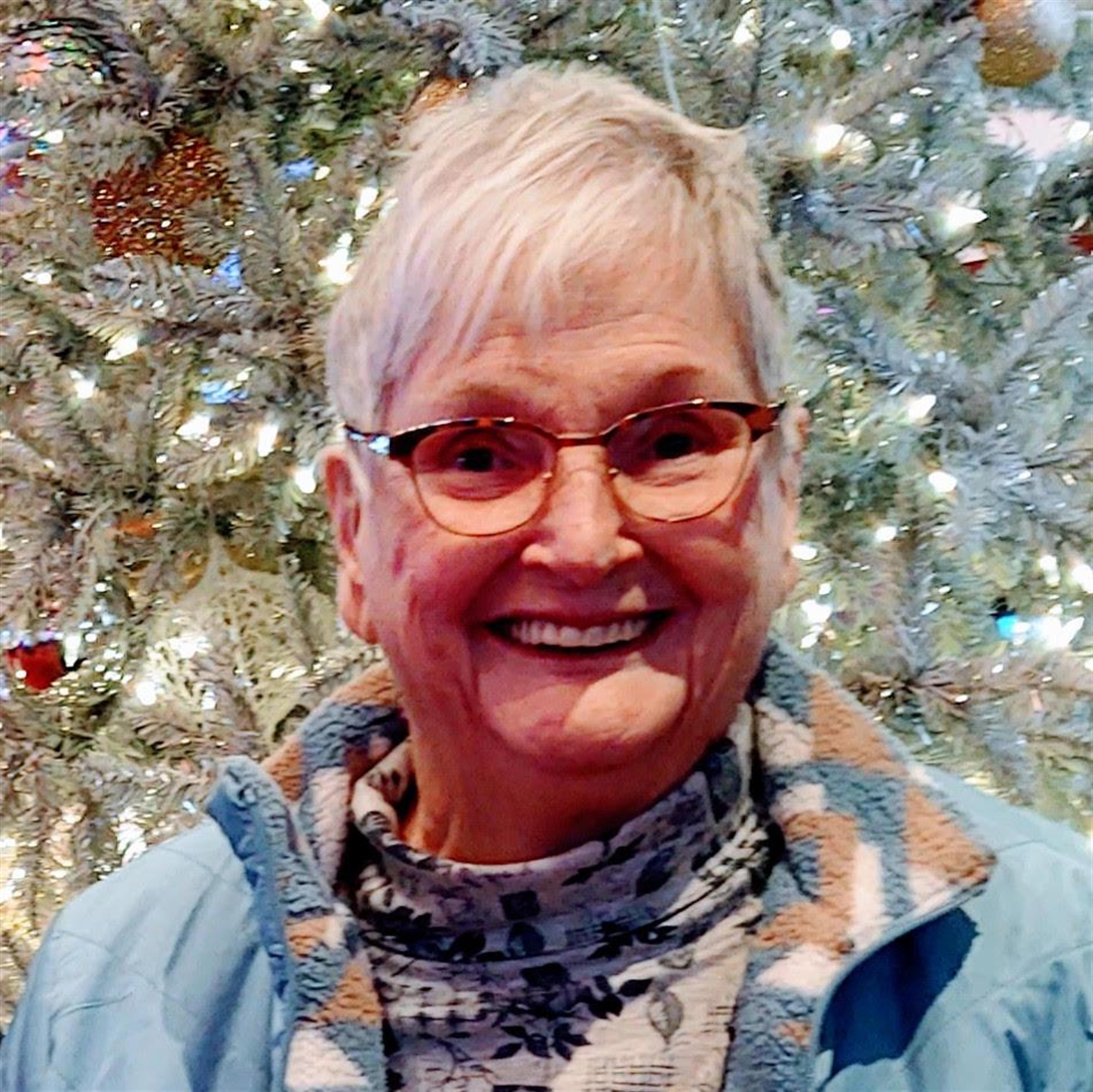 JoAnn Louise Armold