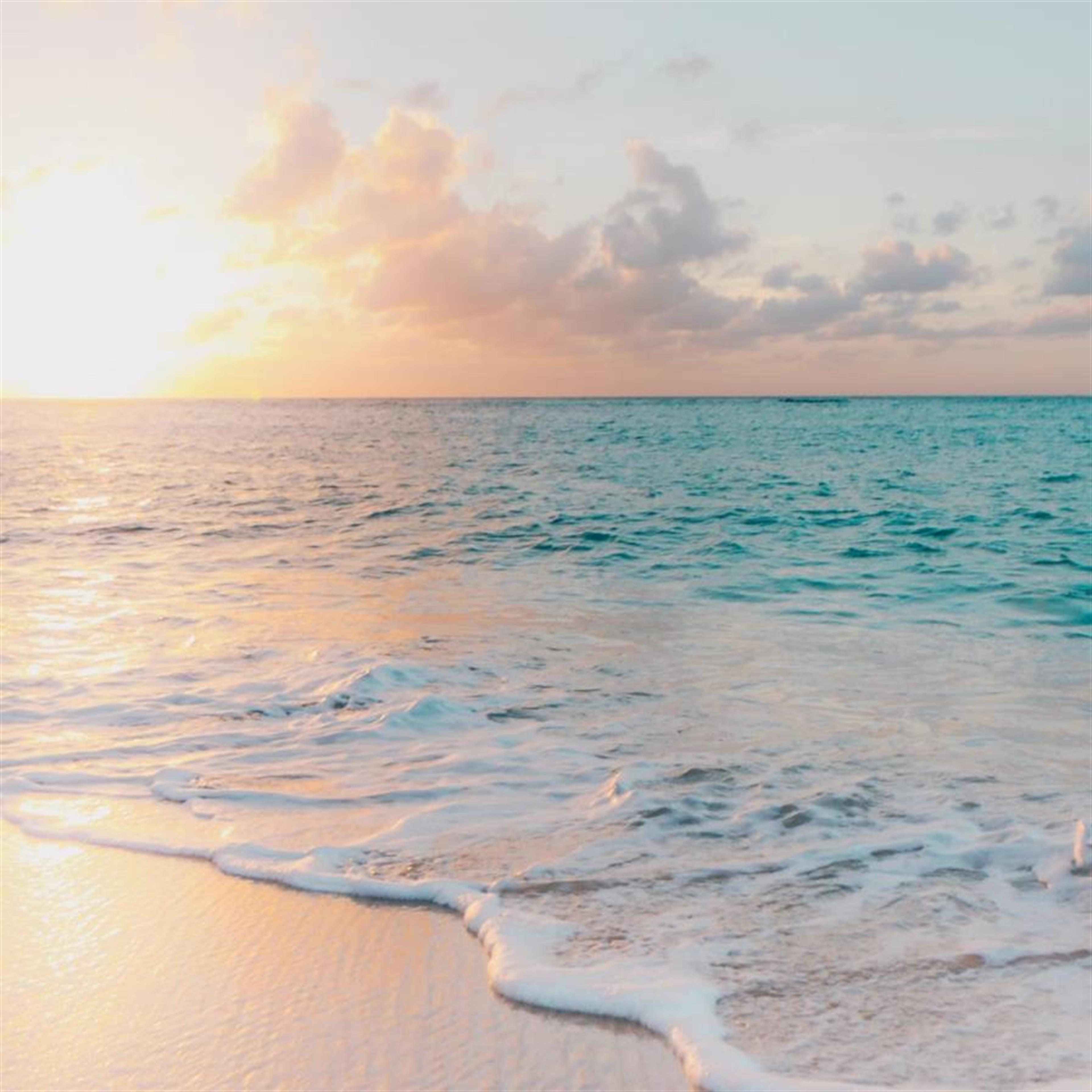 Penelope Lee Stephens' obituary picture