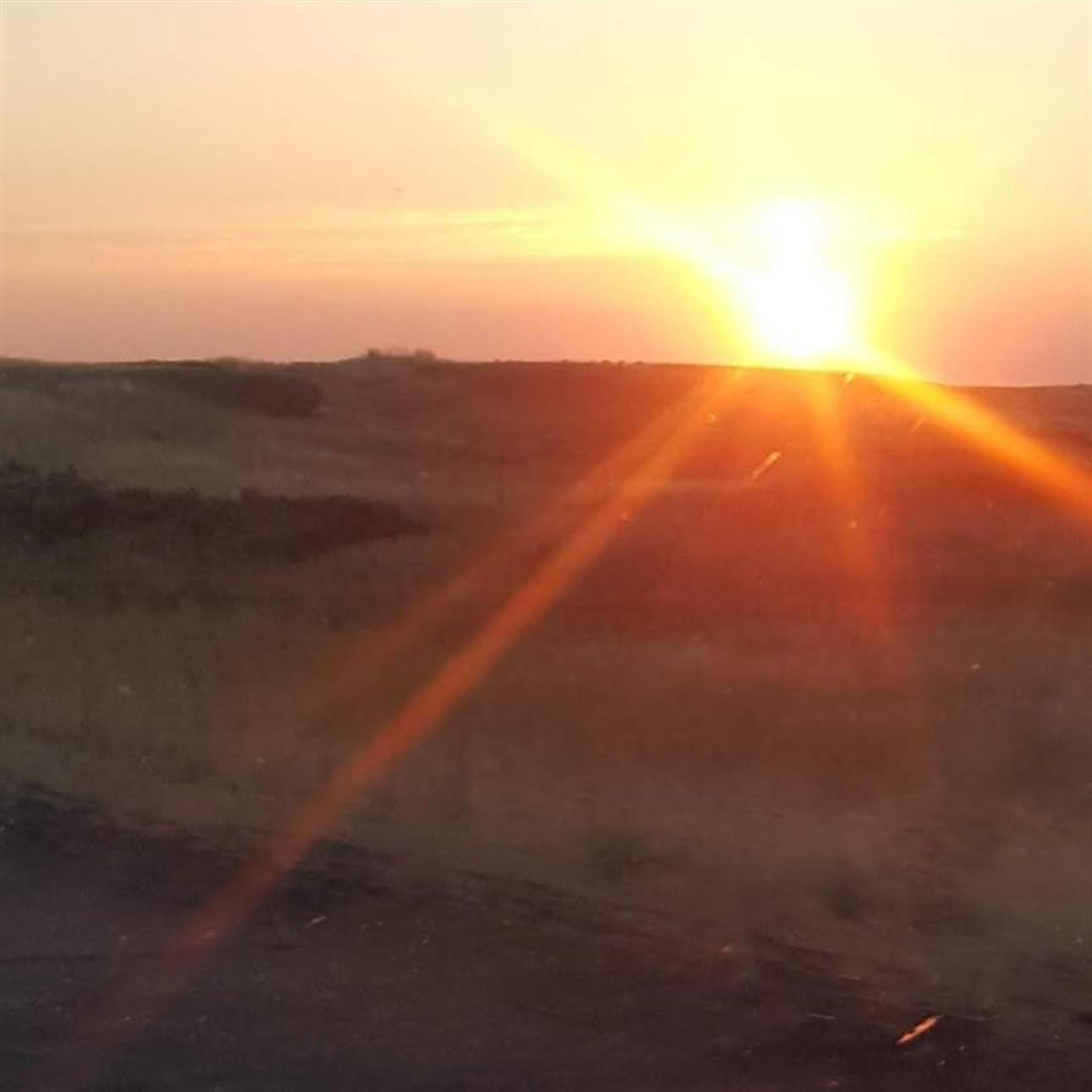 Patricia Alman's obituary picture