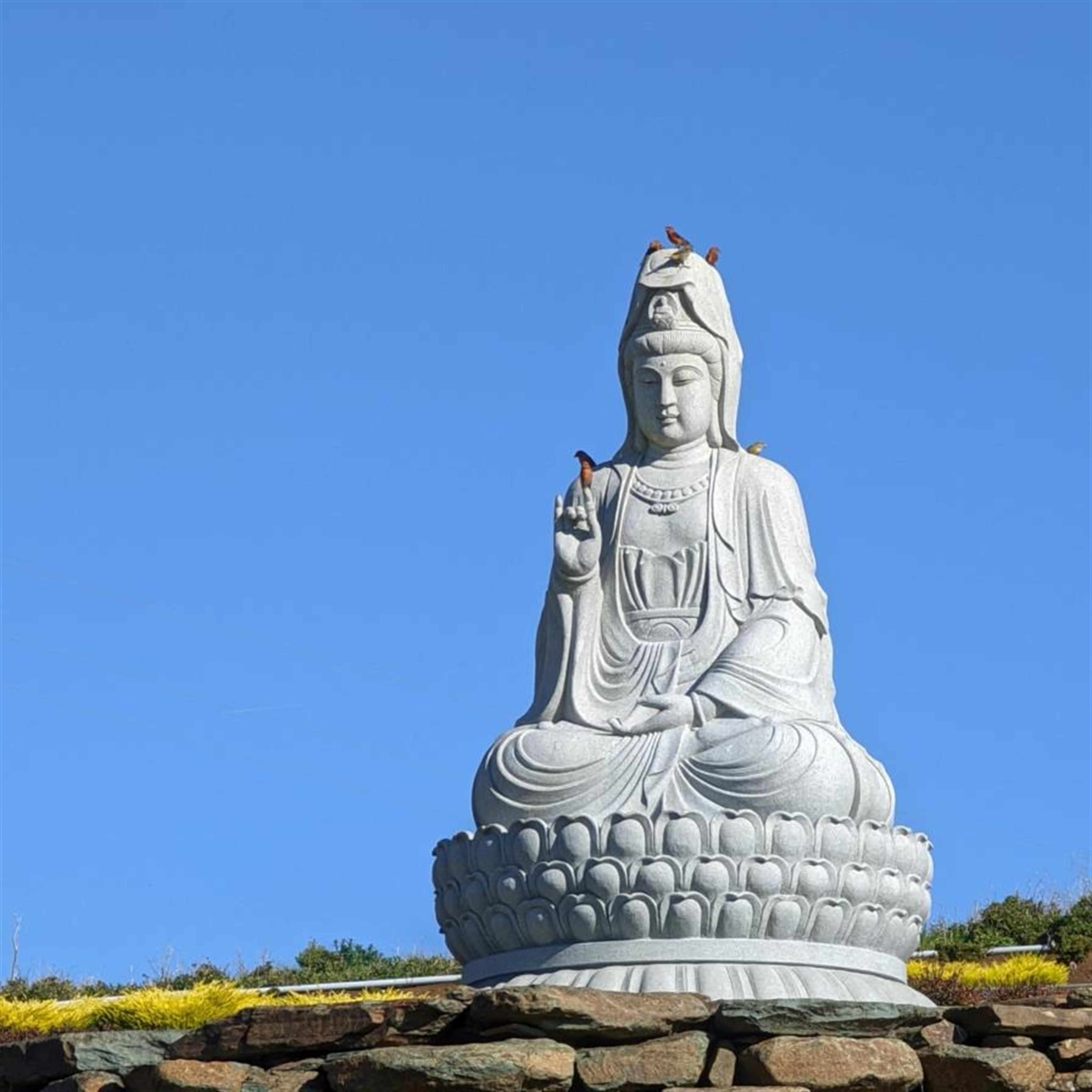 Luo Heng Liang
