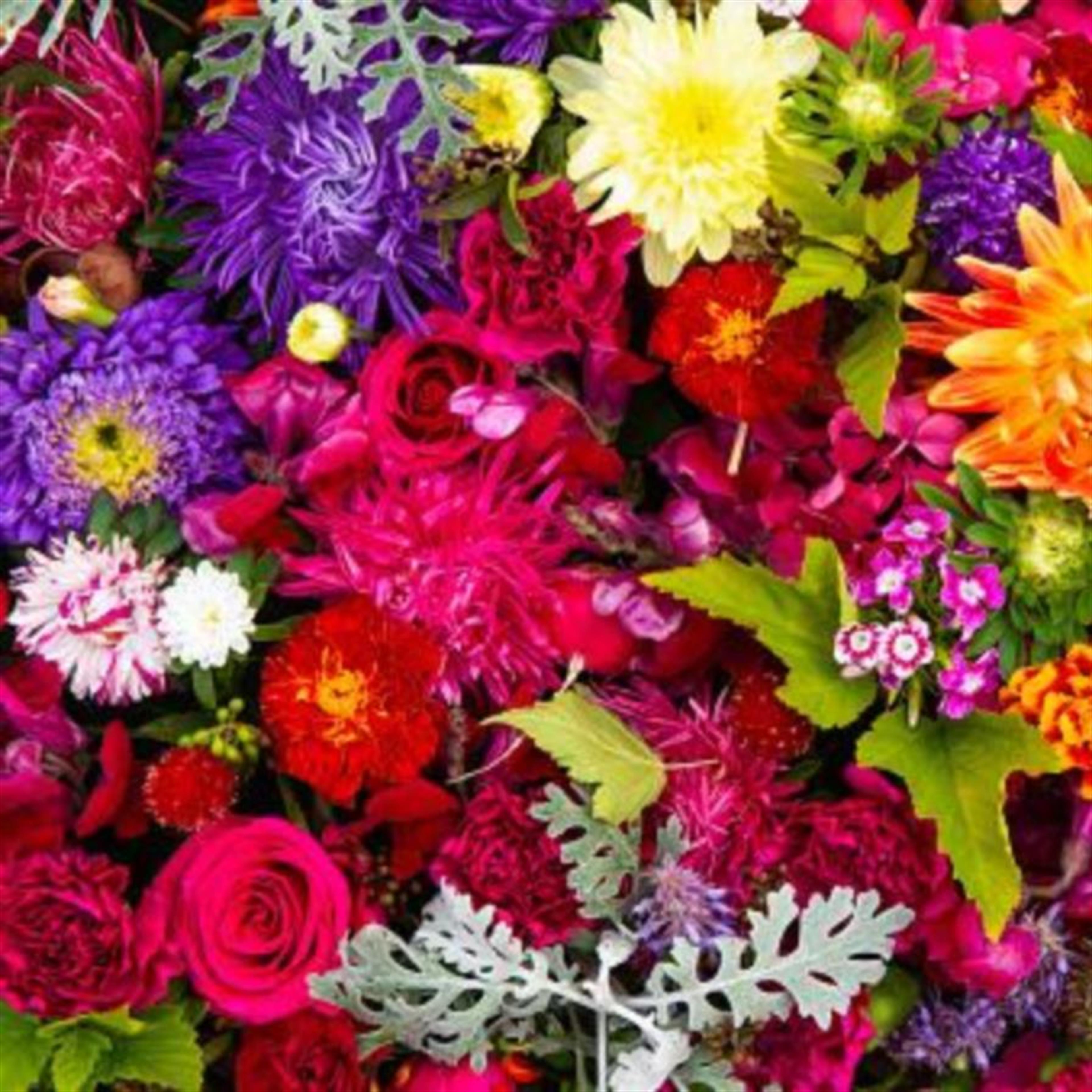 Mrs. Jenifer Annette Dees Ray's obituary picture