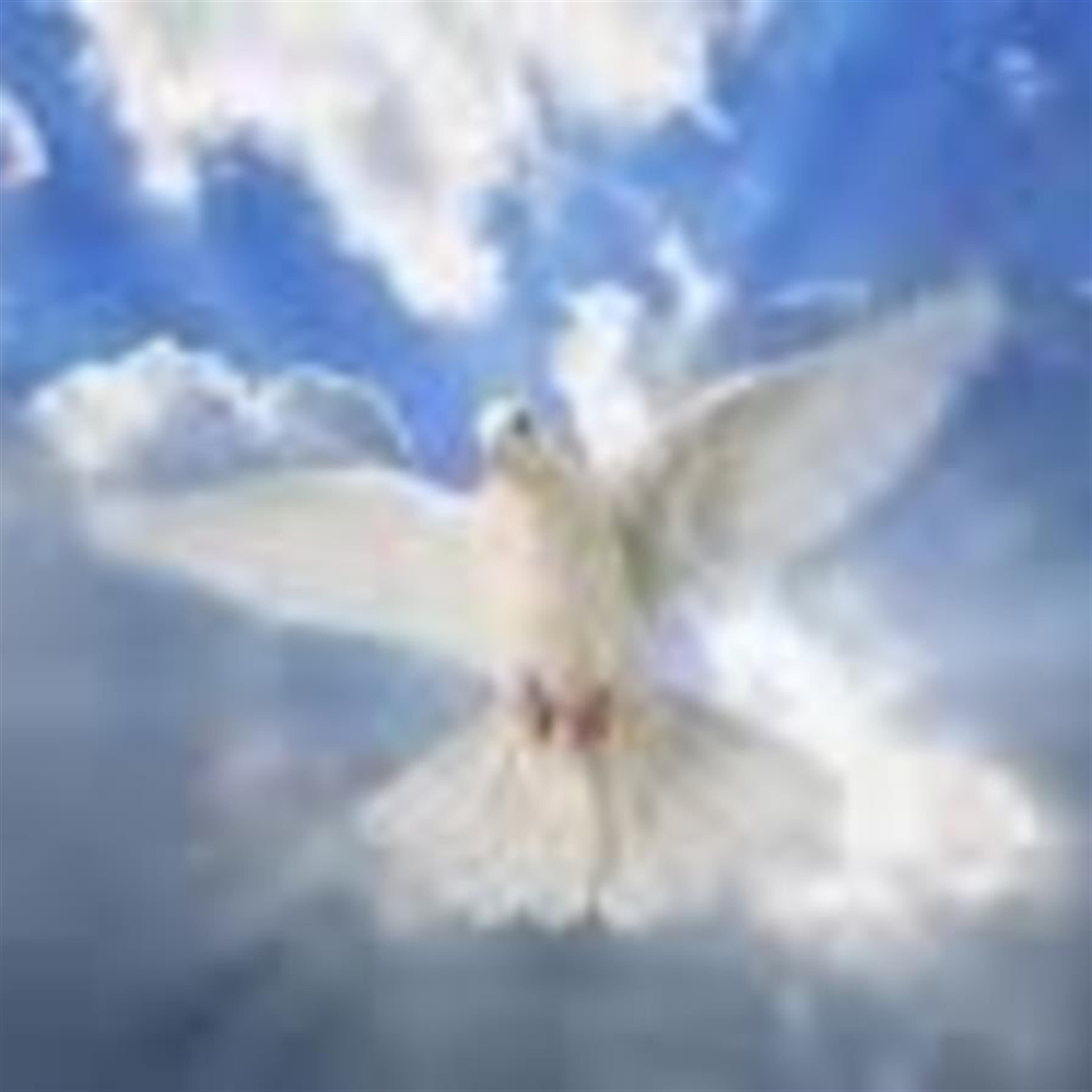 Wilbur James Richard Sr.